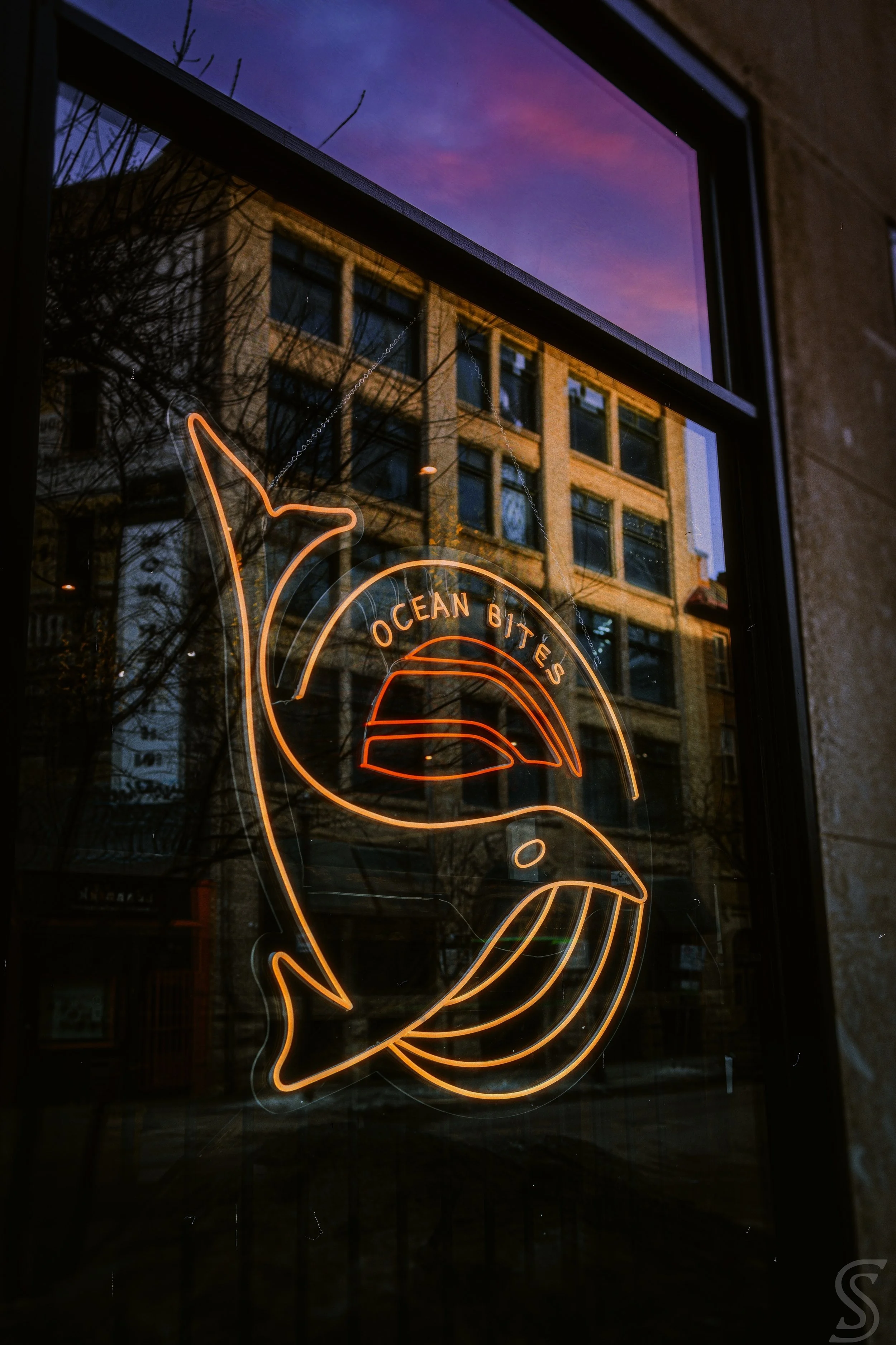 866A1486-Edit 1.jpeg