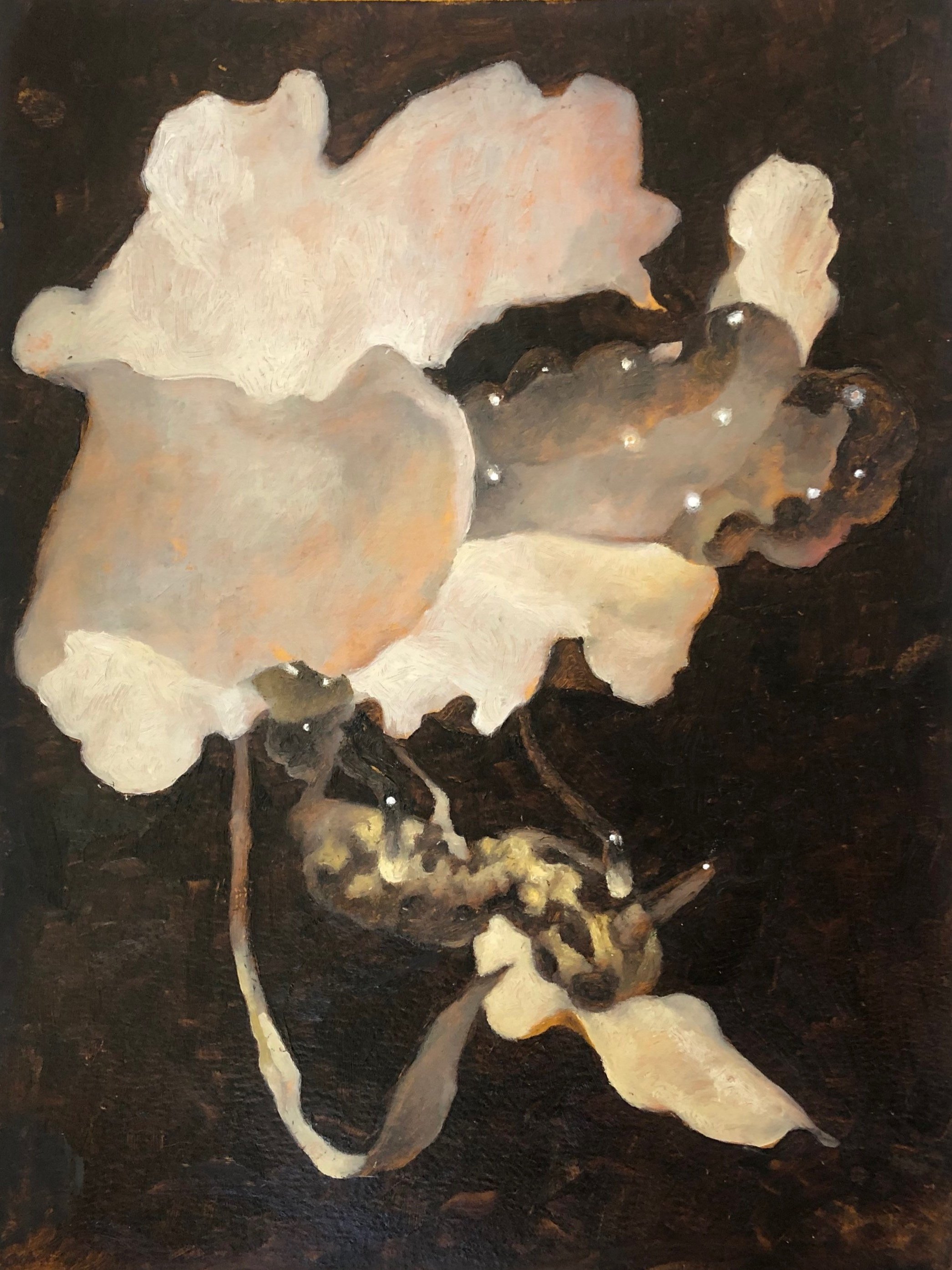 Study. Oil on Paper