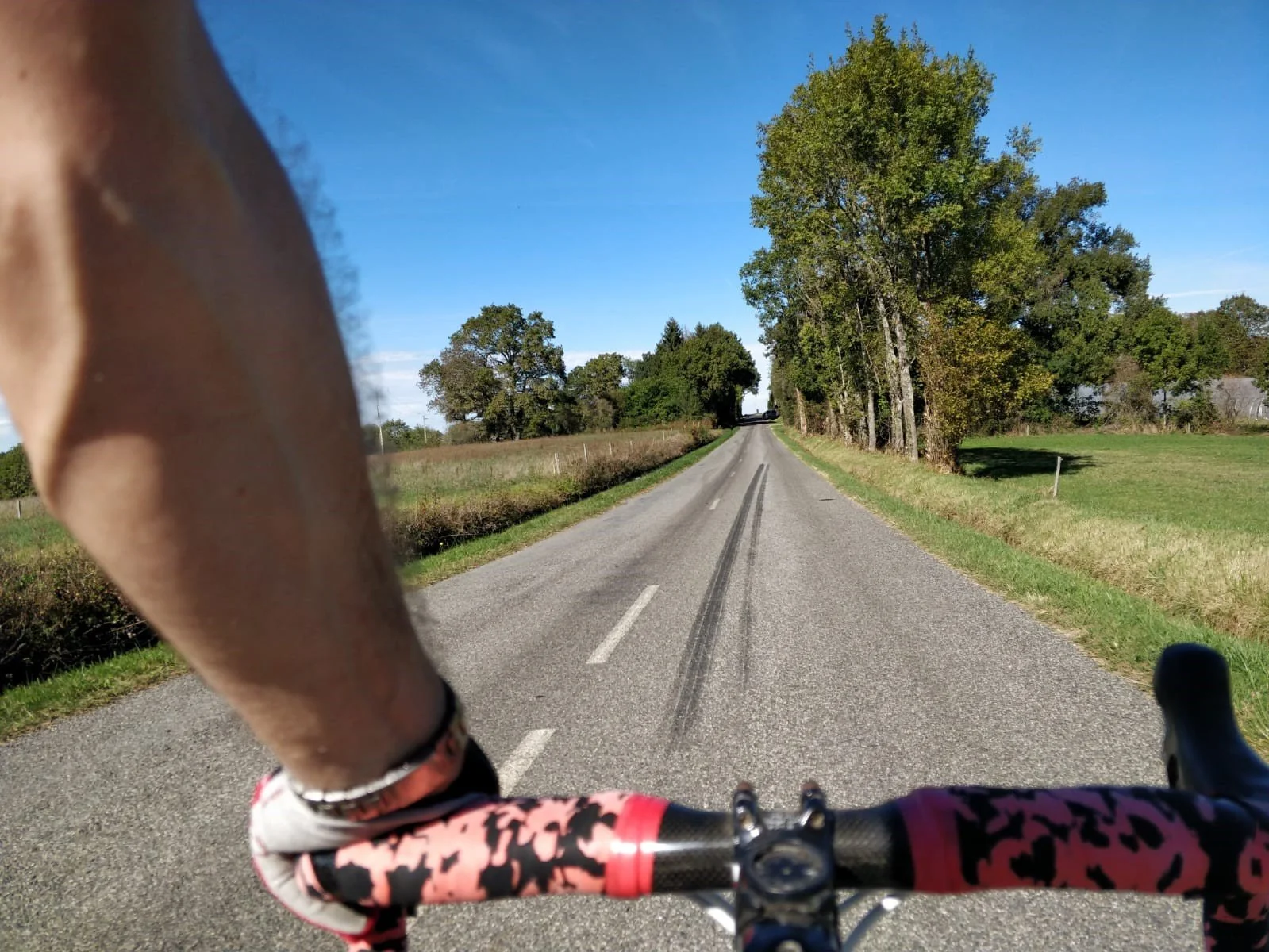 A person riding a bike on a rural road with trees on both sides, on a sunny day with a clear blue sky.
