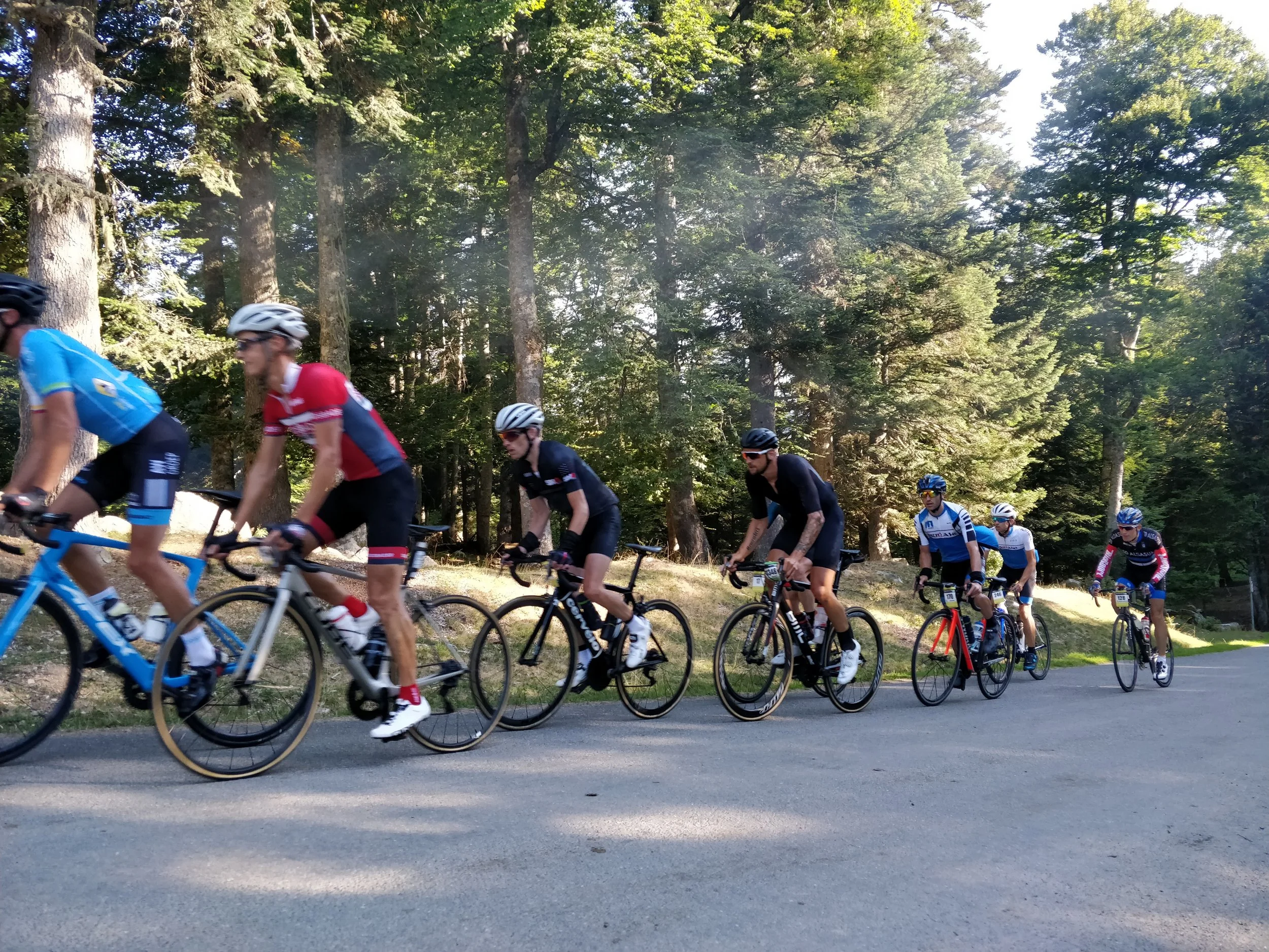 A group of cyclists riding on a paved path through a forested area with tall trees and green foliage.