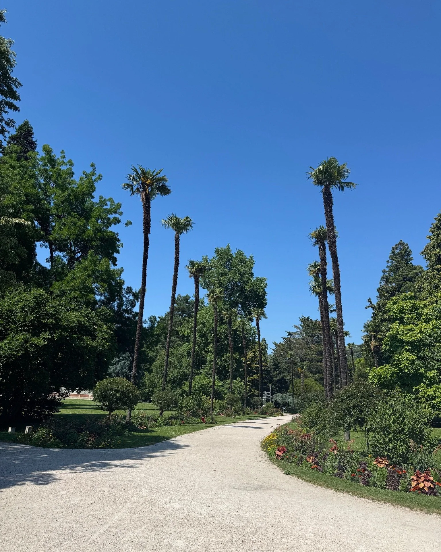 Just down the road in Tarbes, you'll find the beautiful Jardin Massey 🌳 @tarbestourisme 

A lovely spot to spend an afternoon exploring before heading back to the tranquillity of Hello Pyrenees.

🇫🇷 Juste &agrave; quelques minutes de route de Tarb