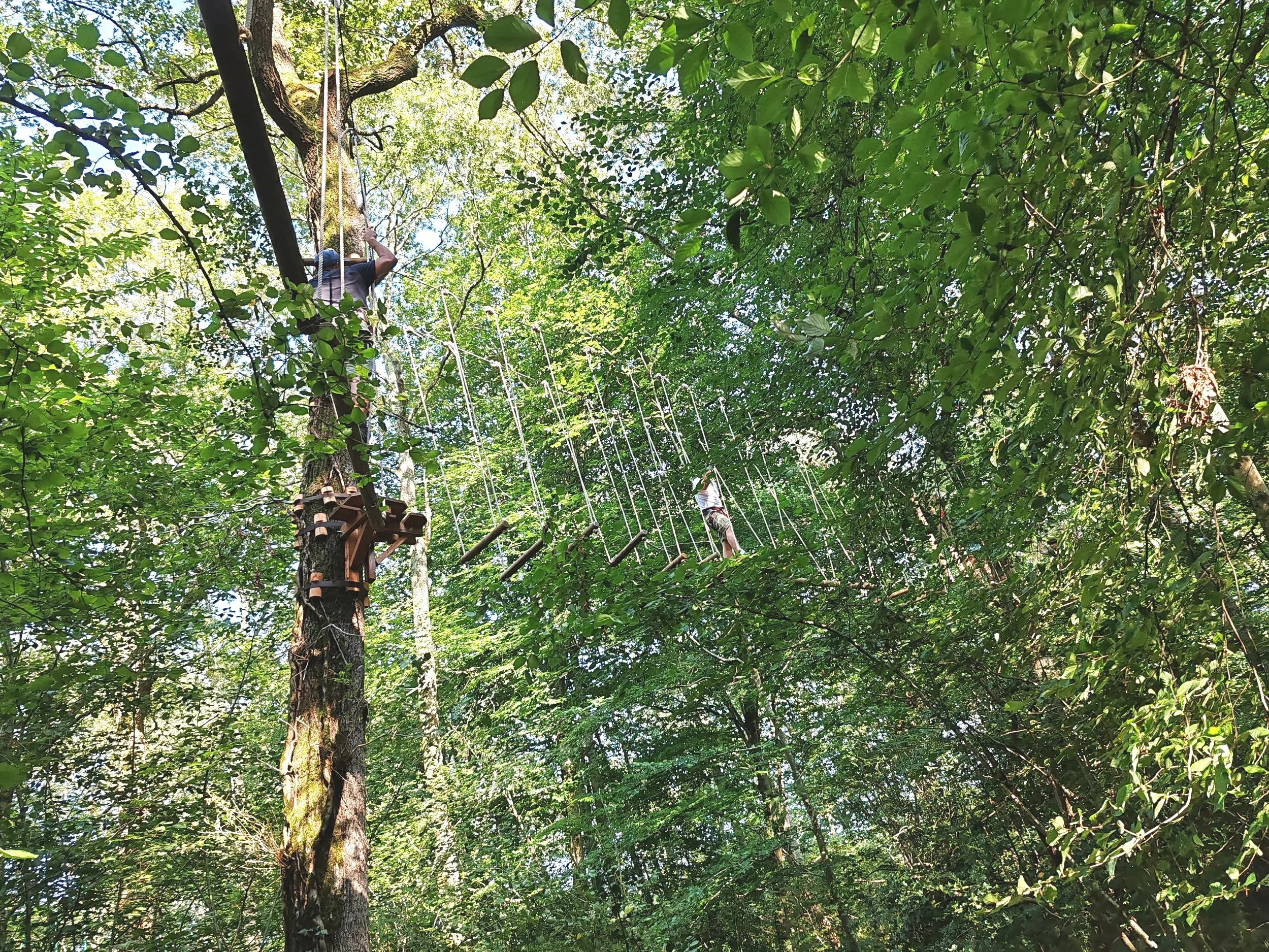 Two people are on a ropes course high up in a forest, walking on suspended platforms and navigating various obstacles.