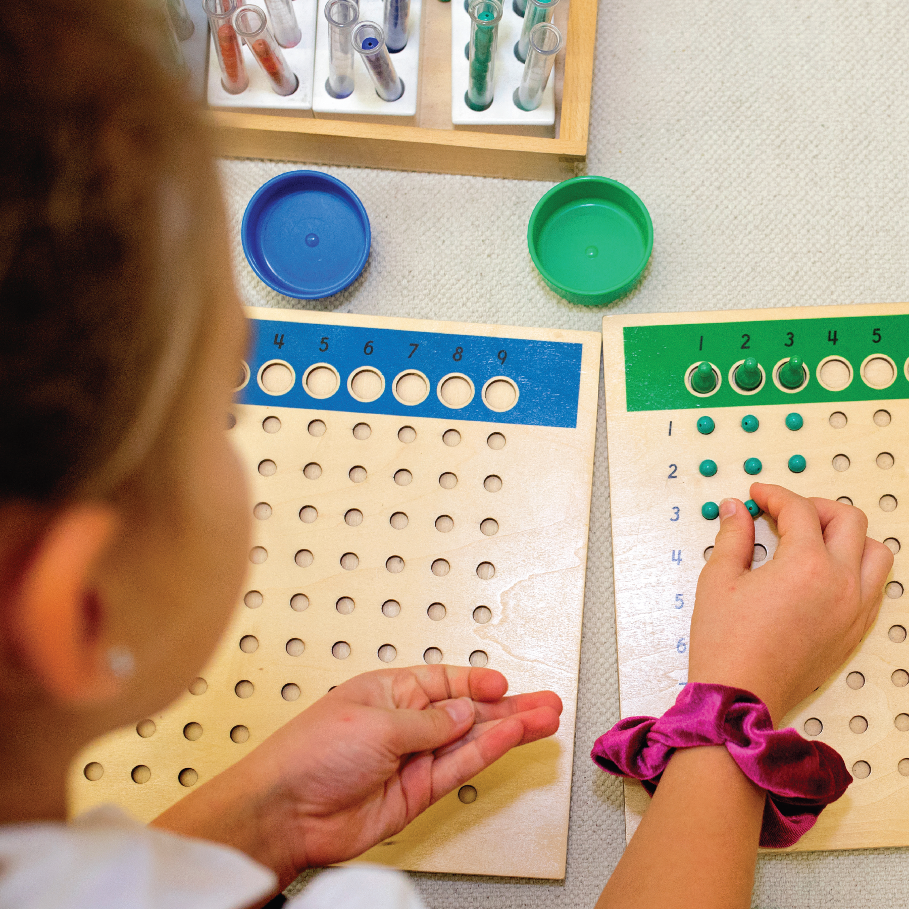 Alexander Montessori School
