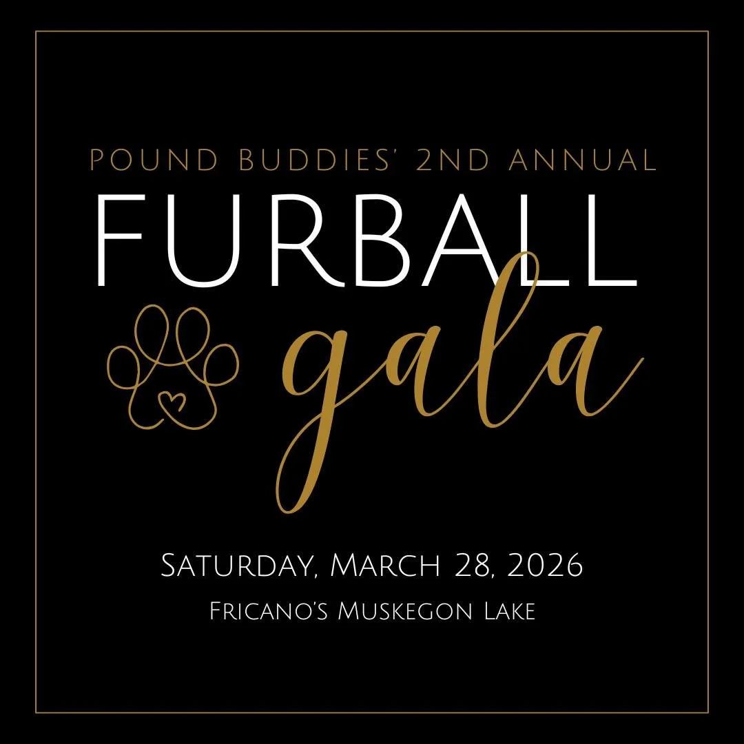 Pound Buddies' 2nd Annual Furball Gala
