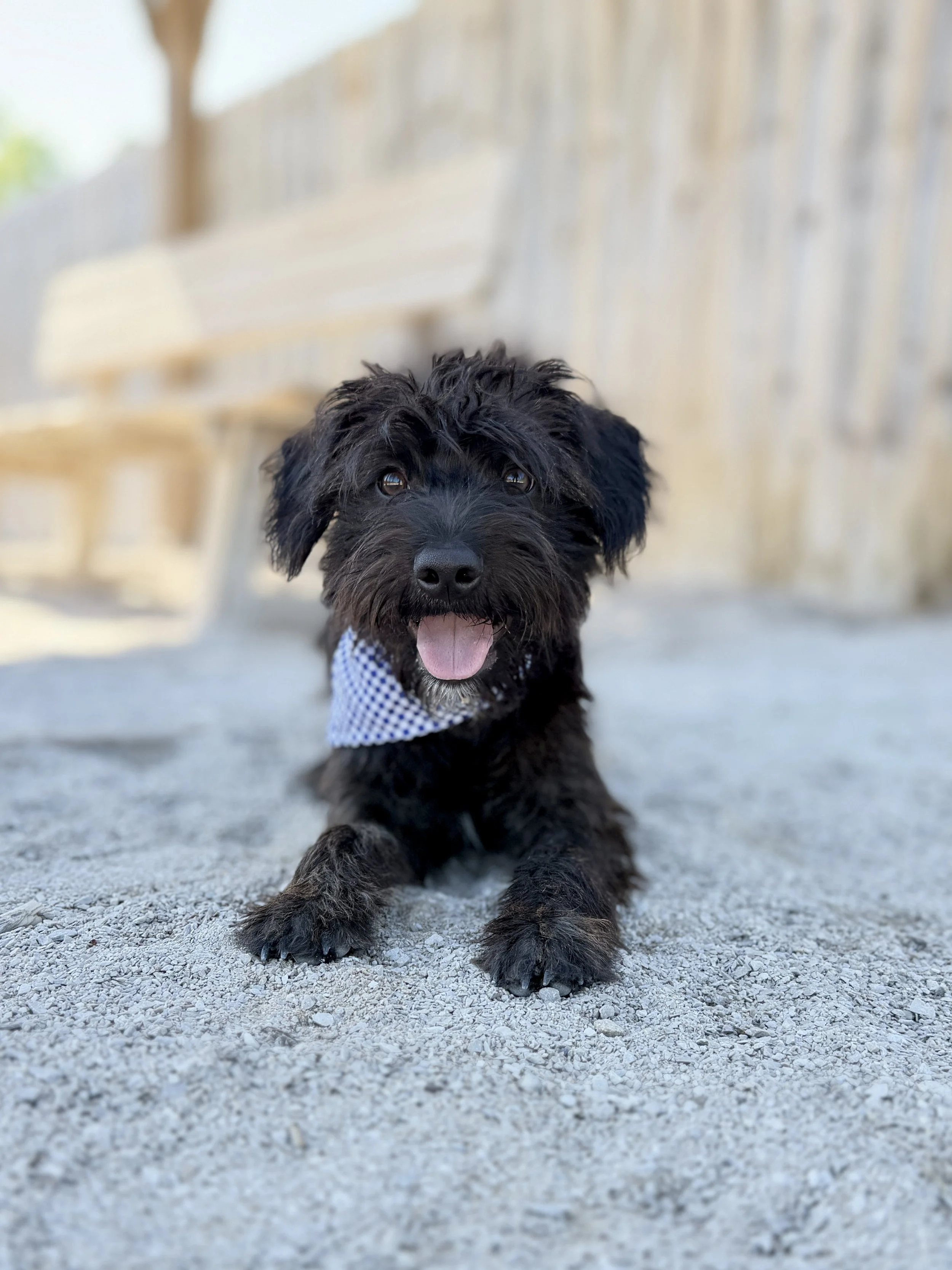 IMG_2477.jpeg