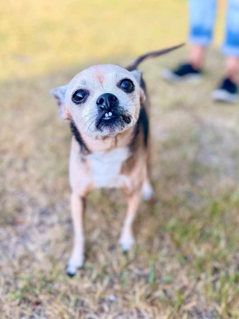 Trudy.jpg