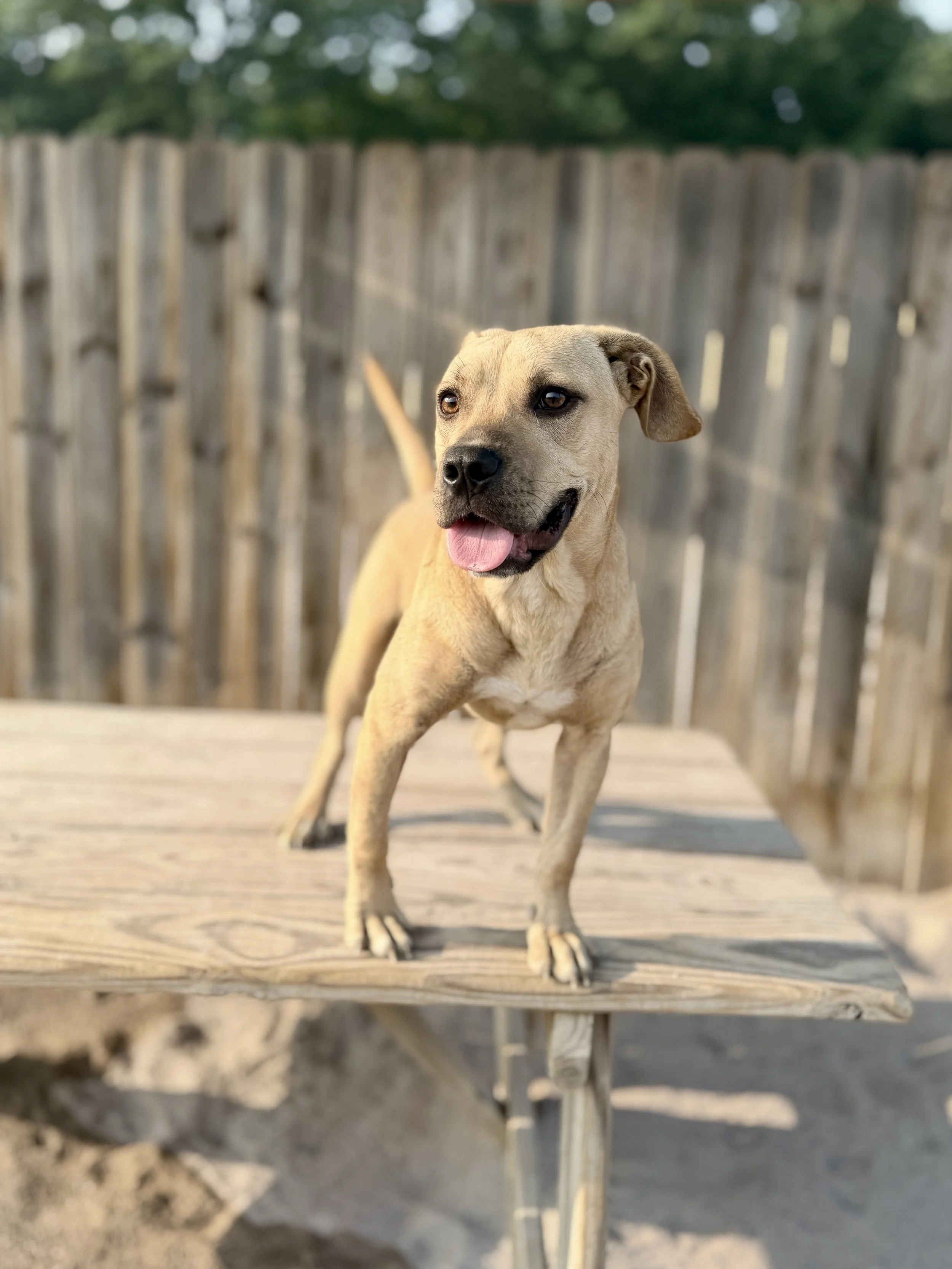IMG_4902.jpeg