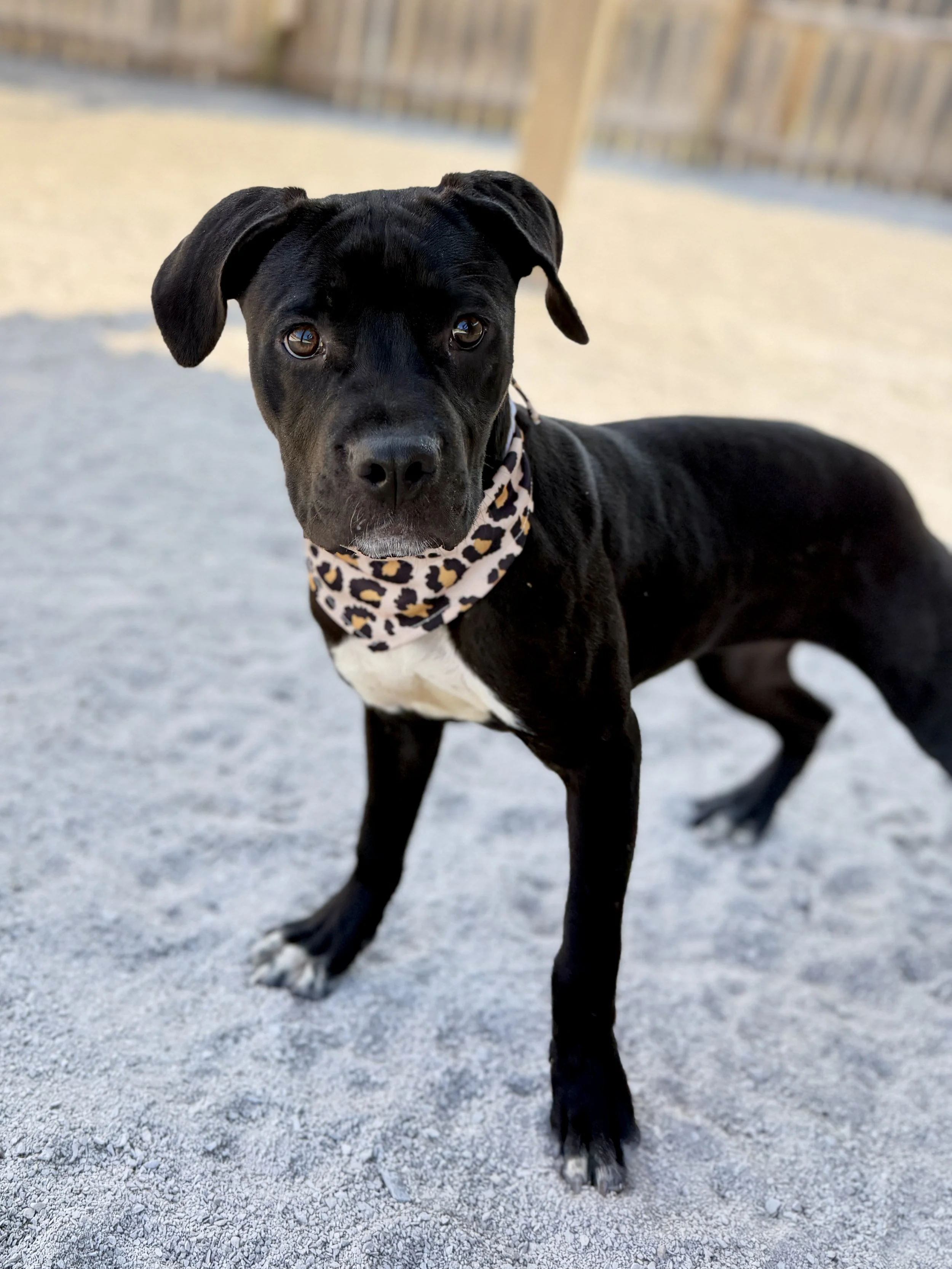 IMG_5561.jpeg