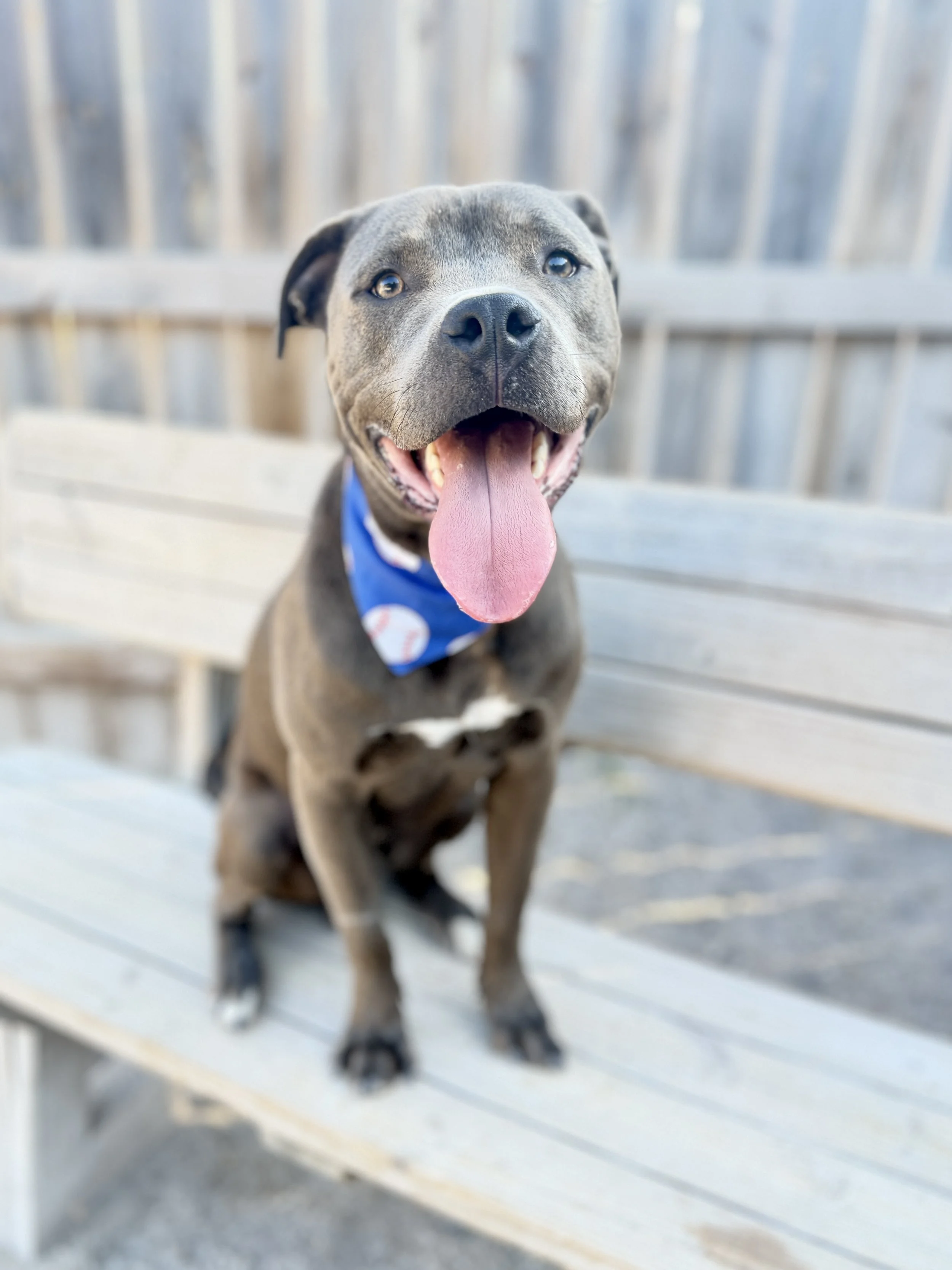 IMG_4447.jpeg