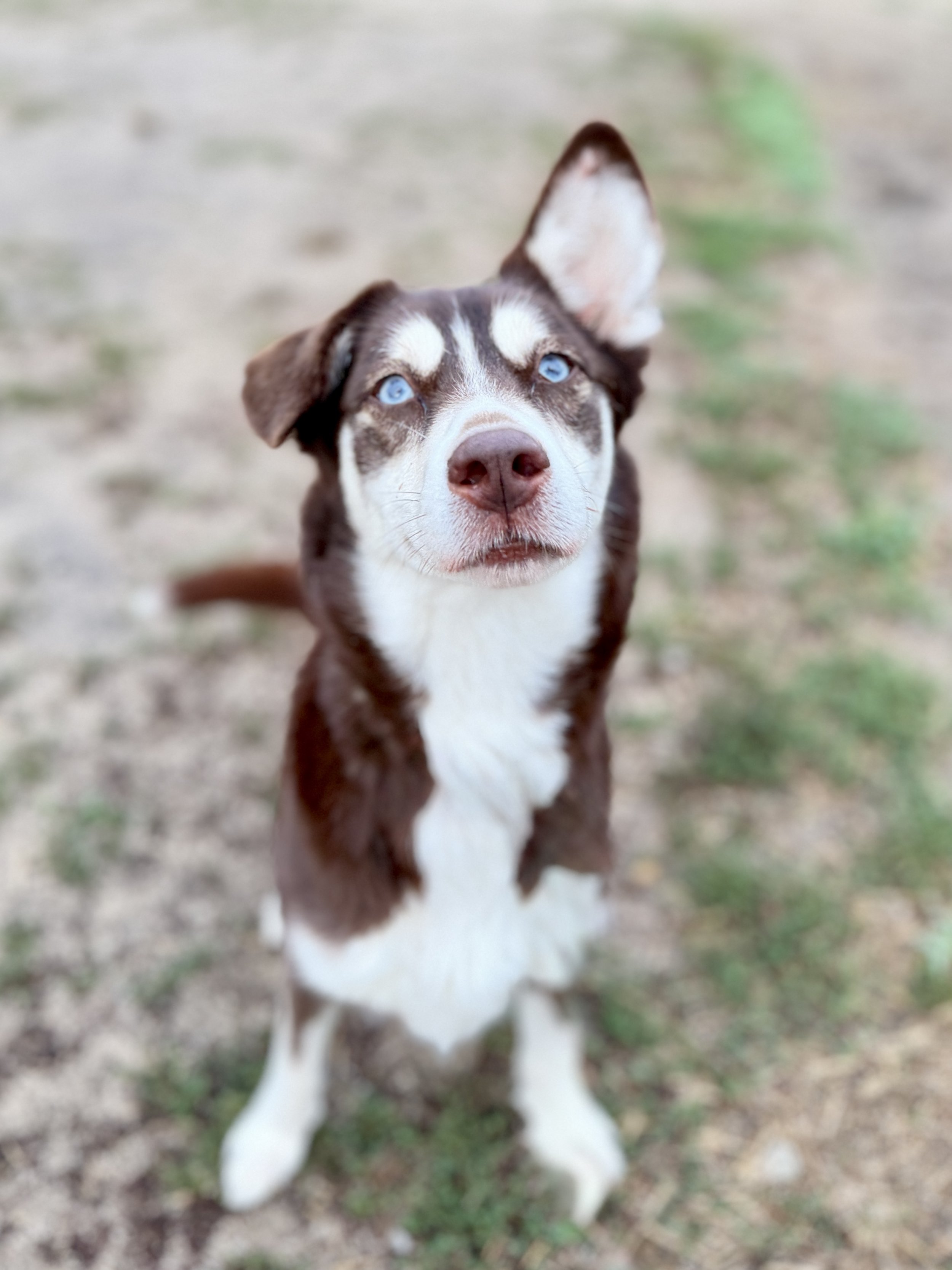 Jalyn