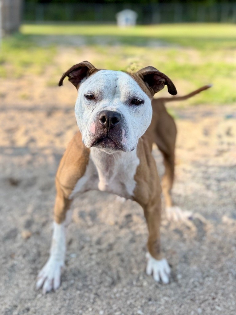    Bonnie 