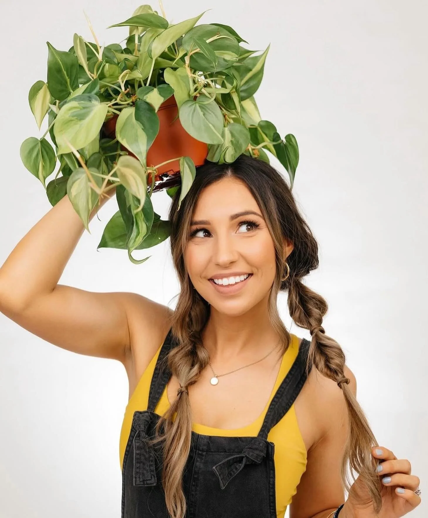 When Riza first opened, we thought it was a Wu-Tang offshoot. Turns out, it&rsquo;s an epic plant shop run by a great crew! Our ponytail palm came from Riza, and most of the plants you see in your favorite spots around Napa probably came from this te