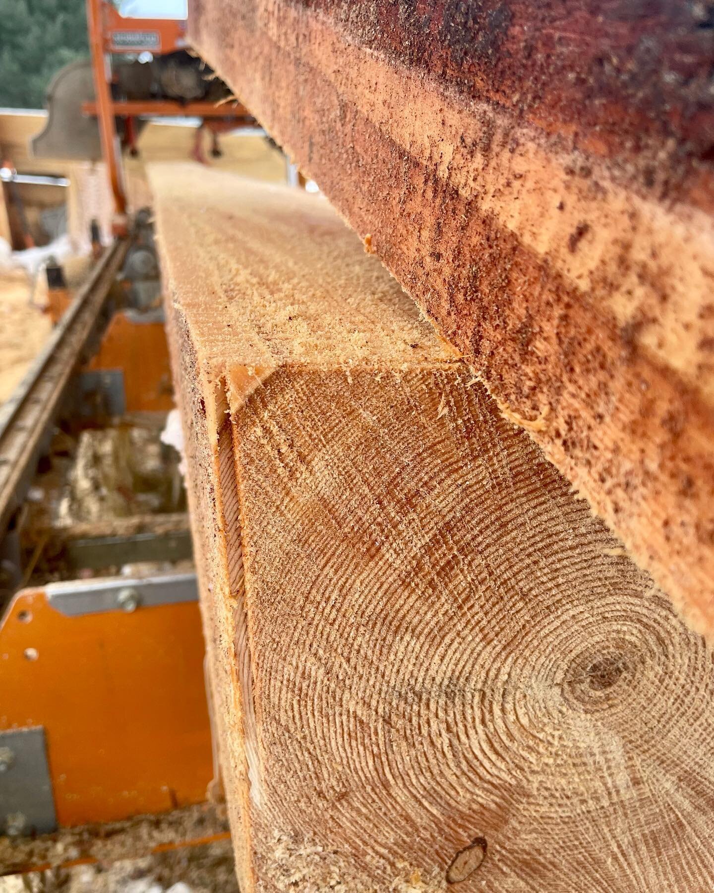 This larch came off a job site in October. Today finds us happy to have brought it home. Tight grain like that is a carpenter&rsquo;s dream.