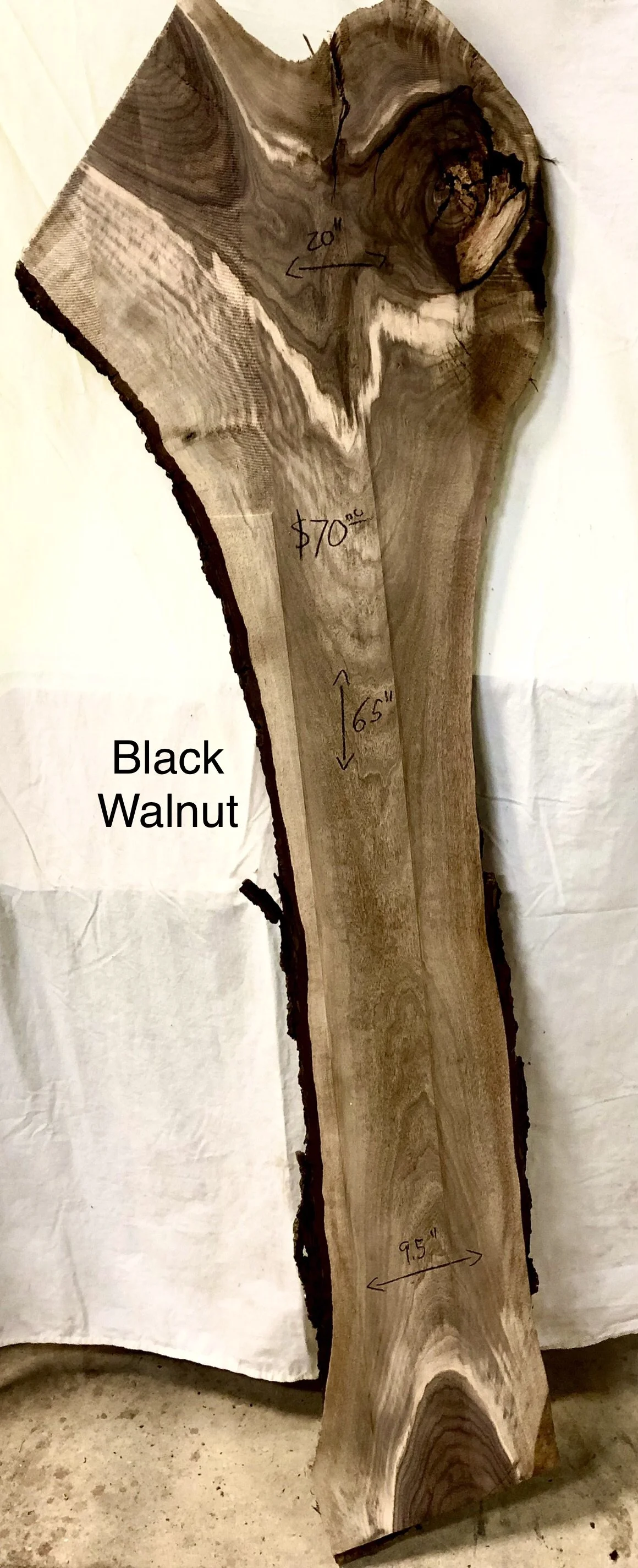 Black Walnut.jpeg