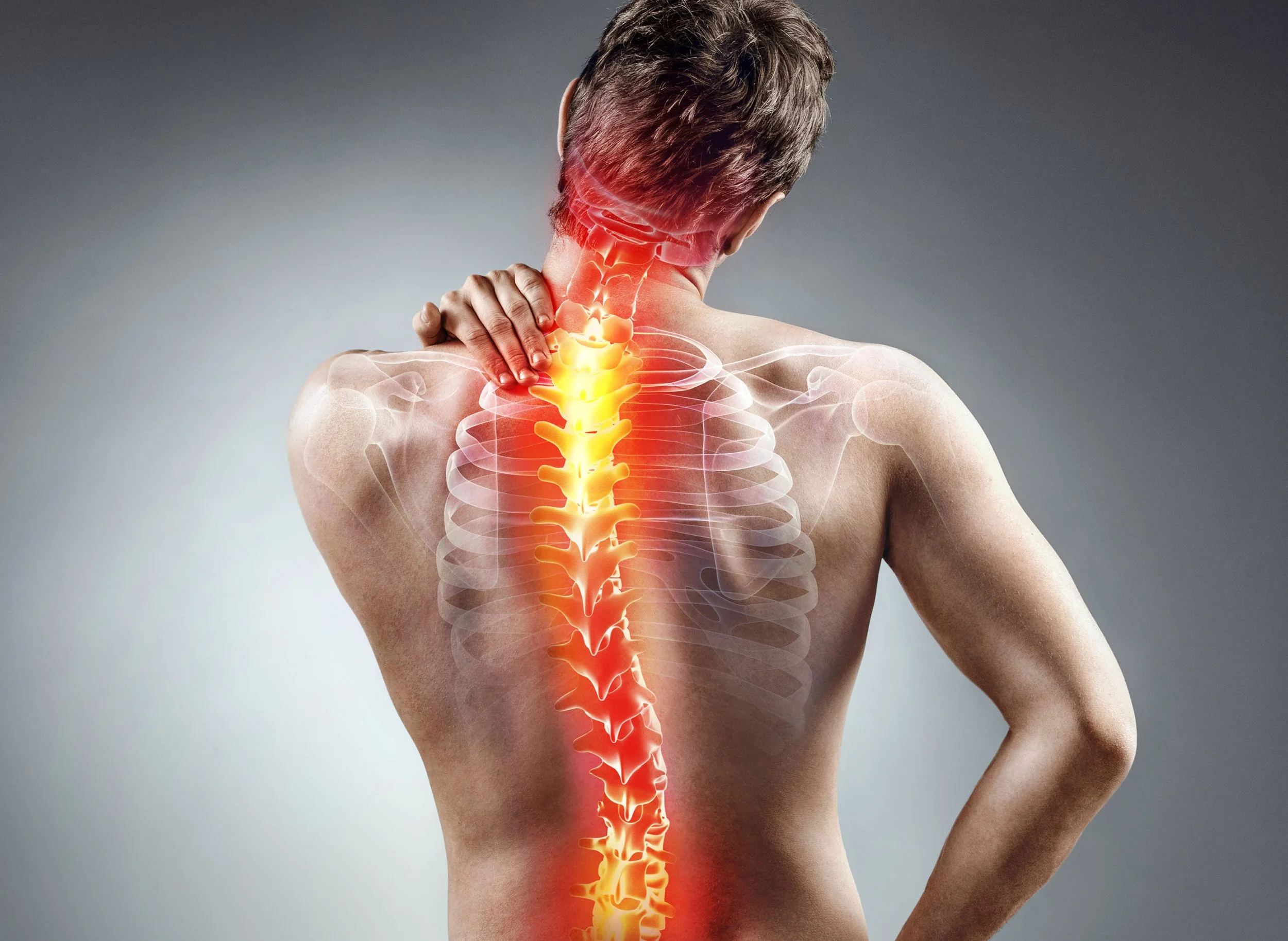 Reducing the Risk of Low Back Injury in Your Workplace