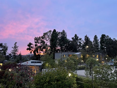 HOW MUCH IS A SINGLE DORM AT UCLA intelligence overview