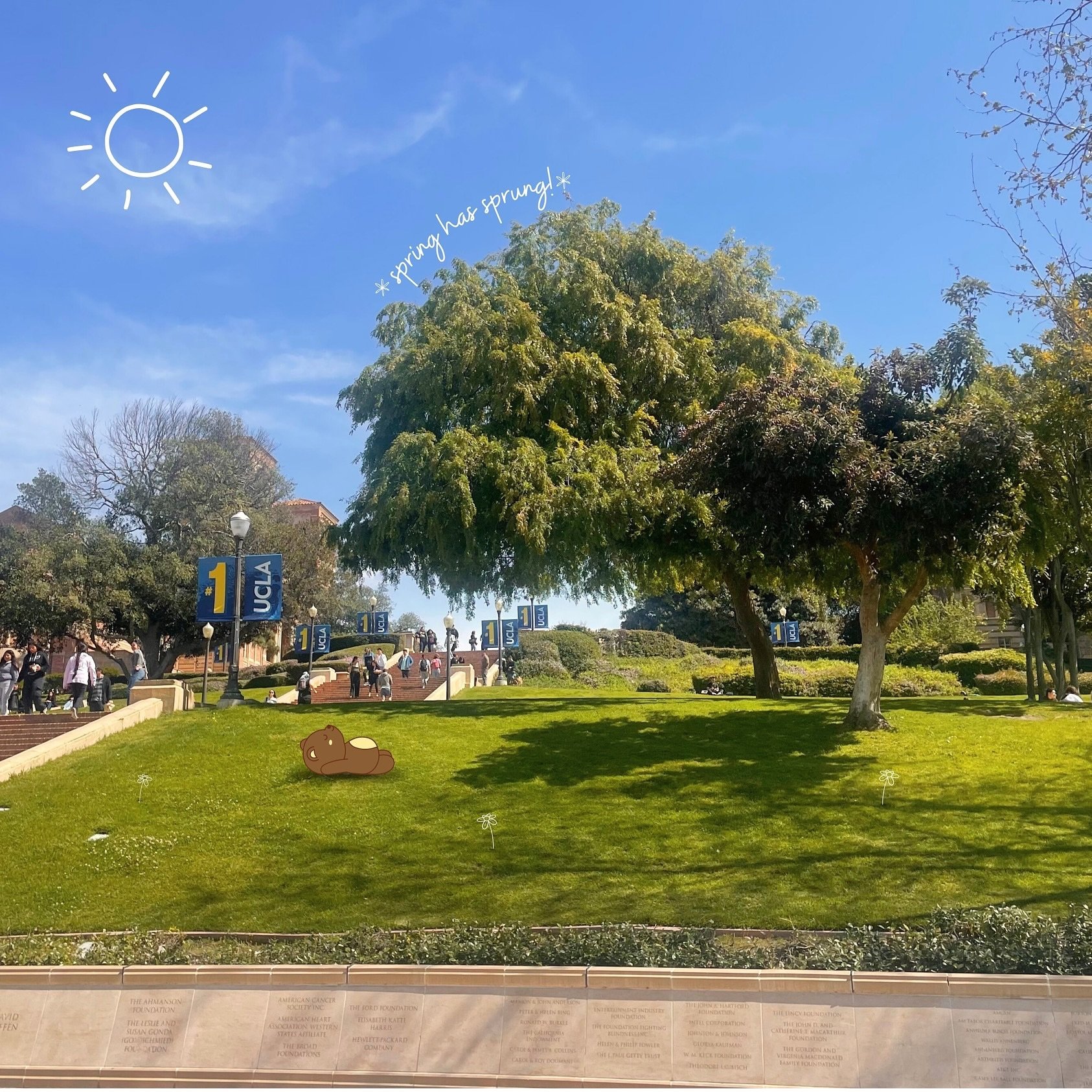 Entering a spring break state of mind😌🌷 It&rsquo;s time to take a VERY well-deserved breath of fresh air and celebrate the end of Winter Quarter! Congrats on finishing strong, Bruins!🐻

#ucla #gobruins #spring #springbreak