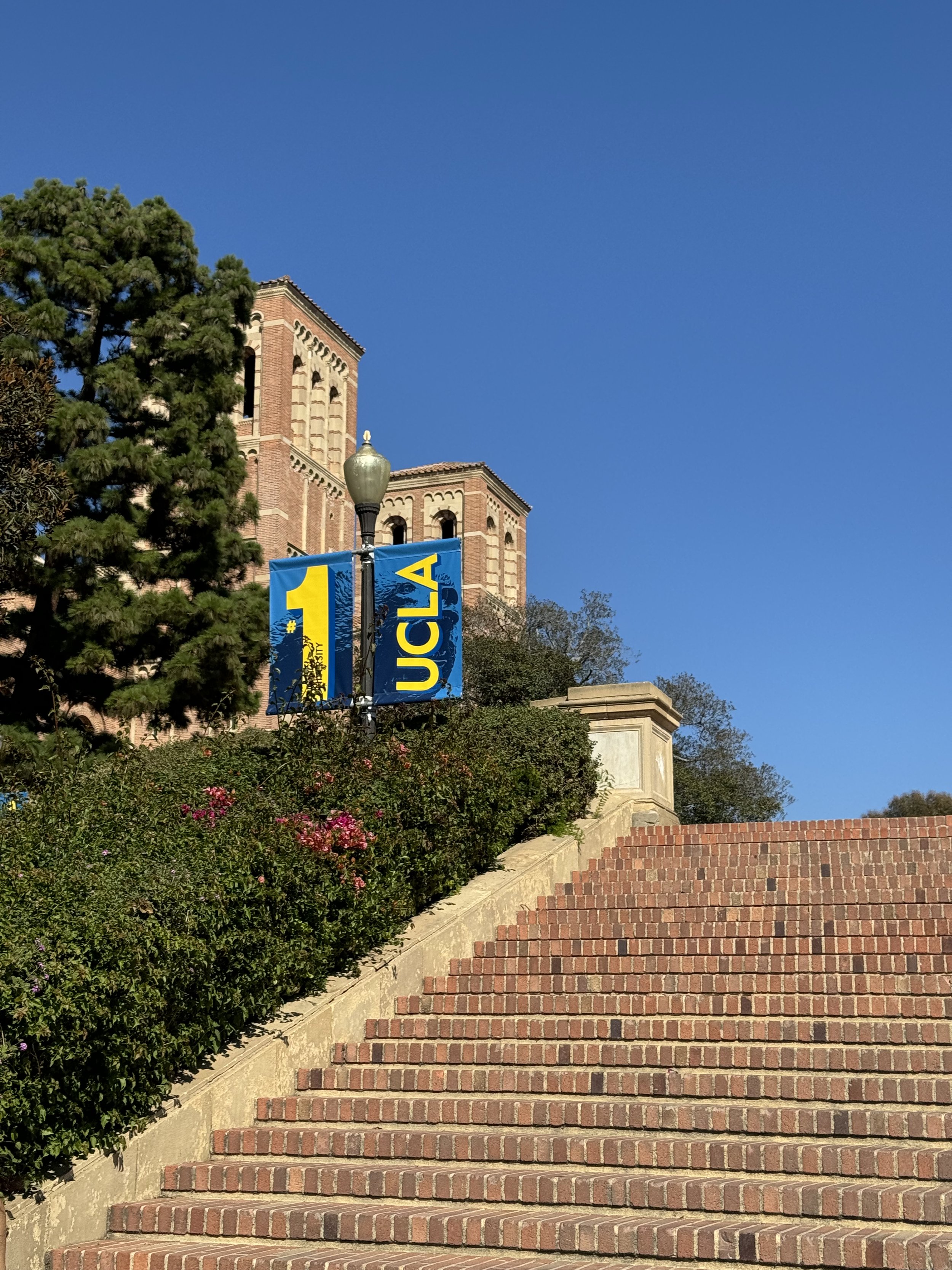 UCLA Janss Steps