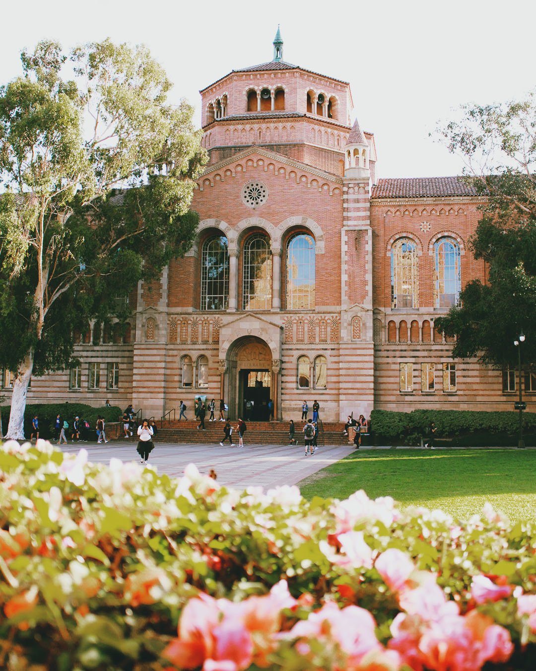 Best places to study during finals week
