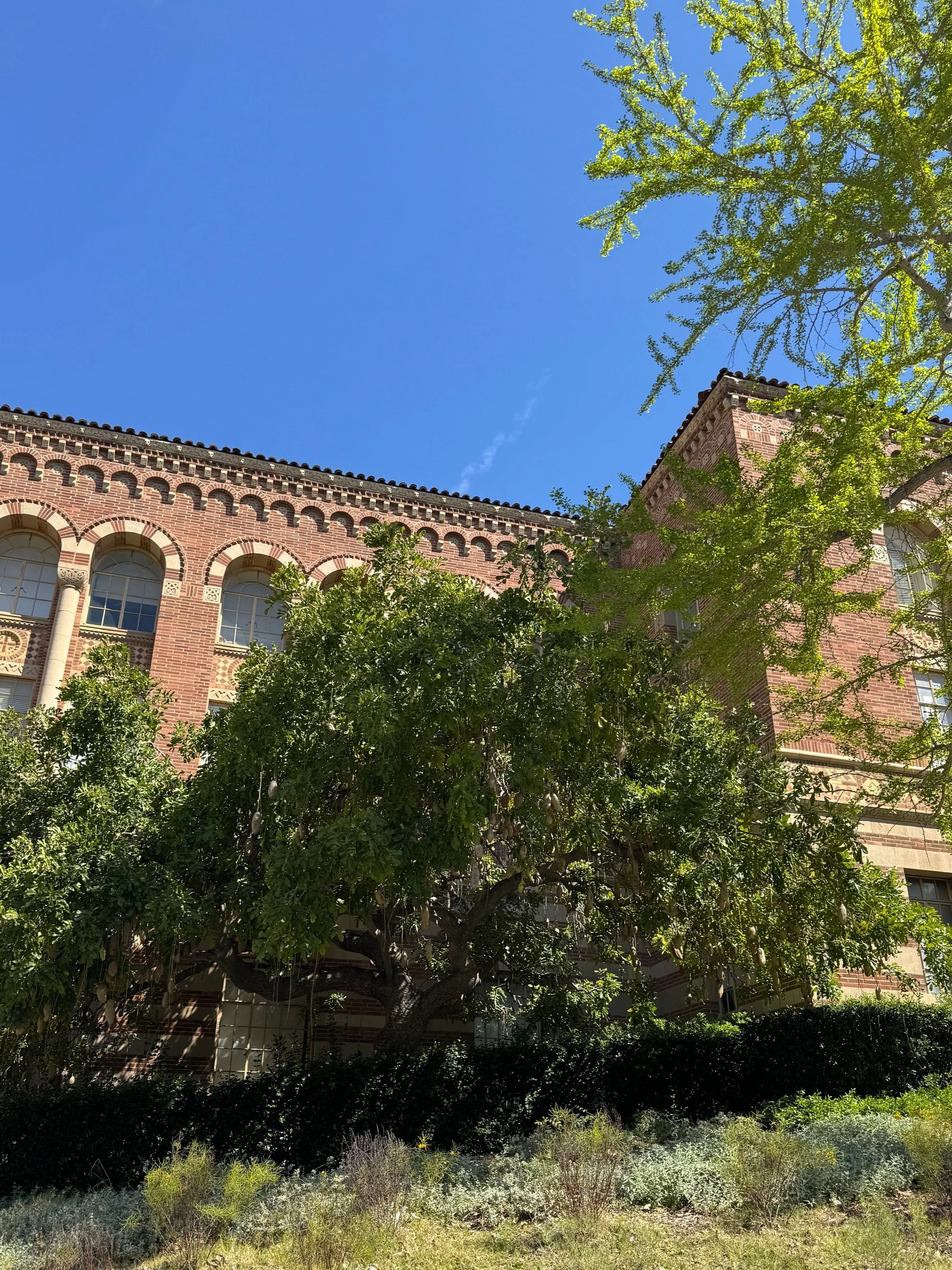 Earth+Day+at+UCLA+3.jpg