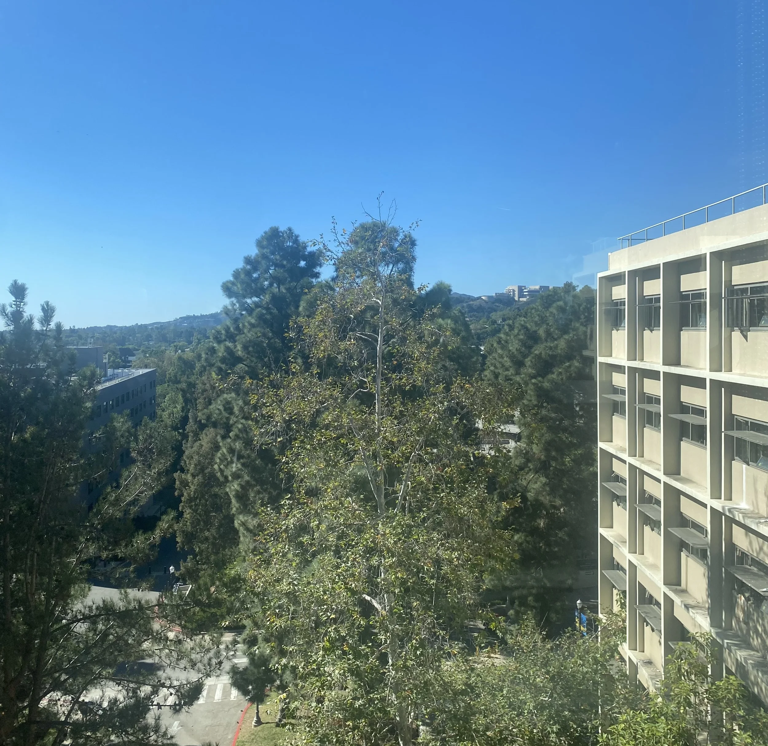 UCLA housing cost