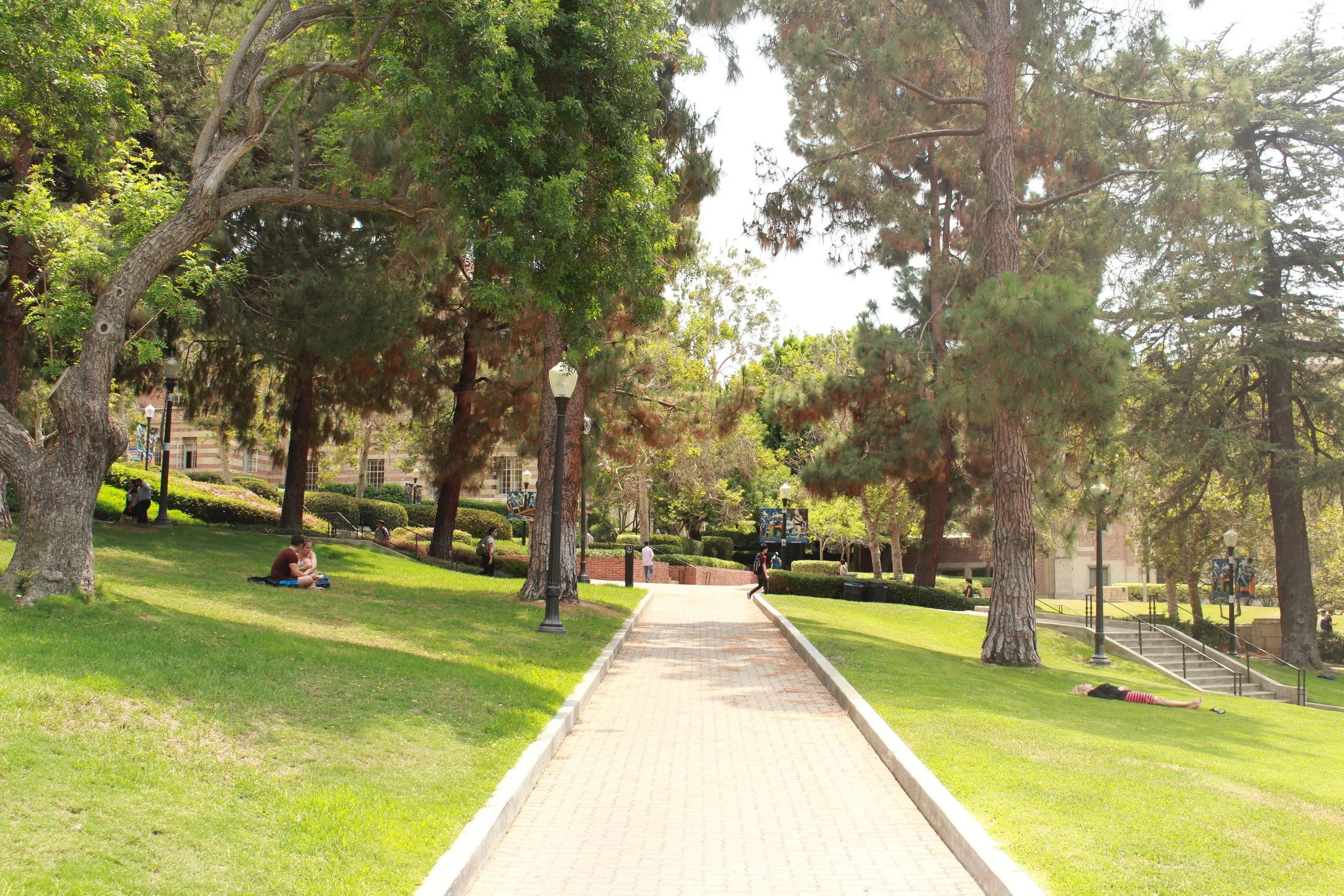 UCLA hours of operation