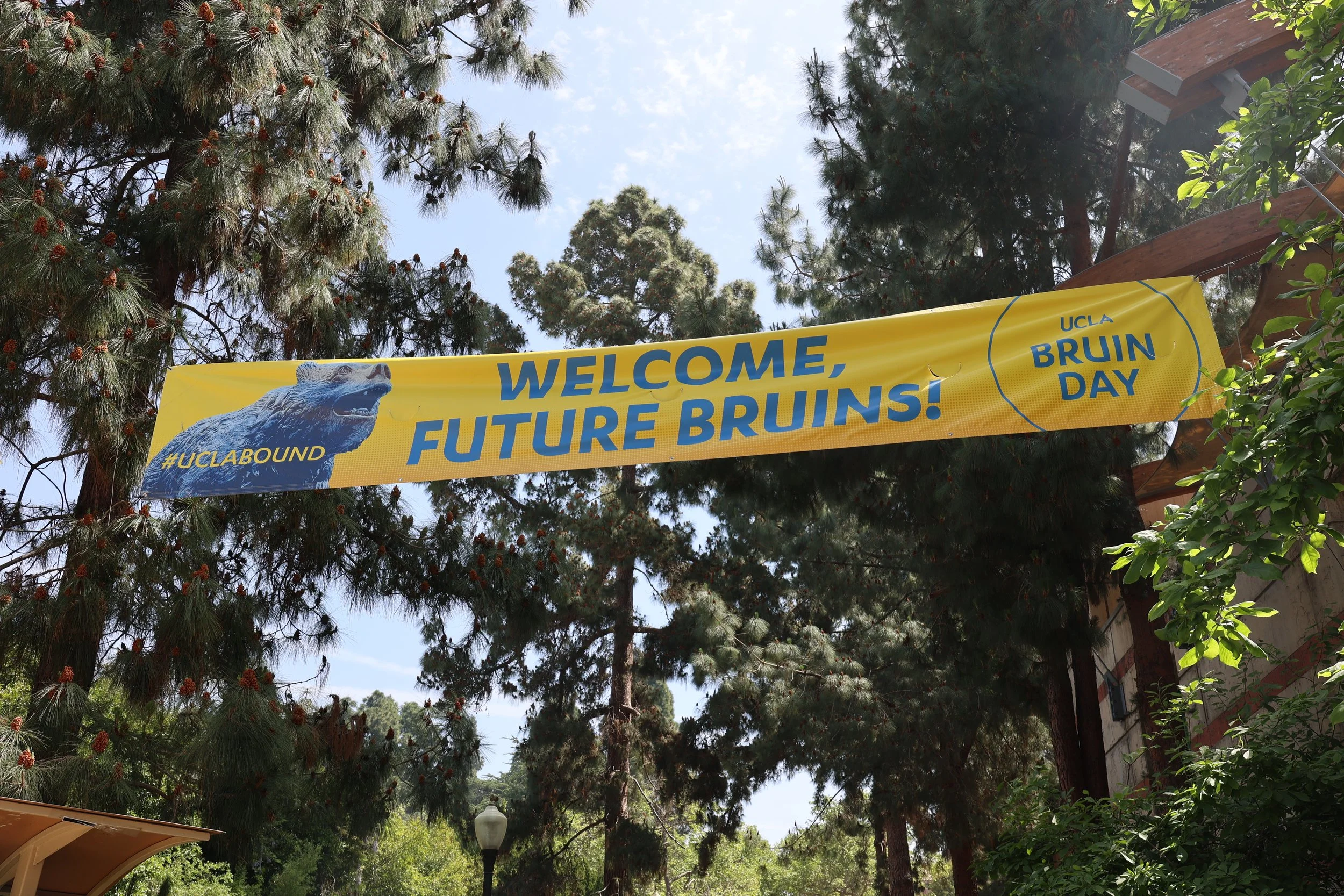 What advice would you give your freshman self?