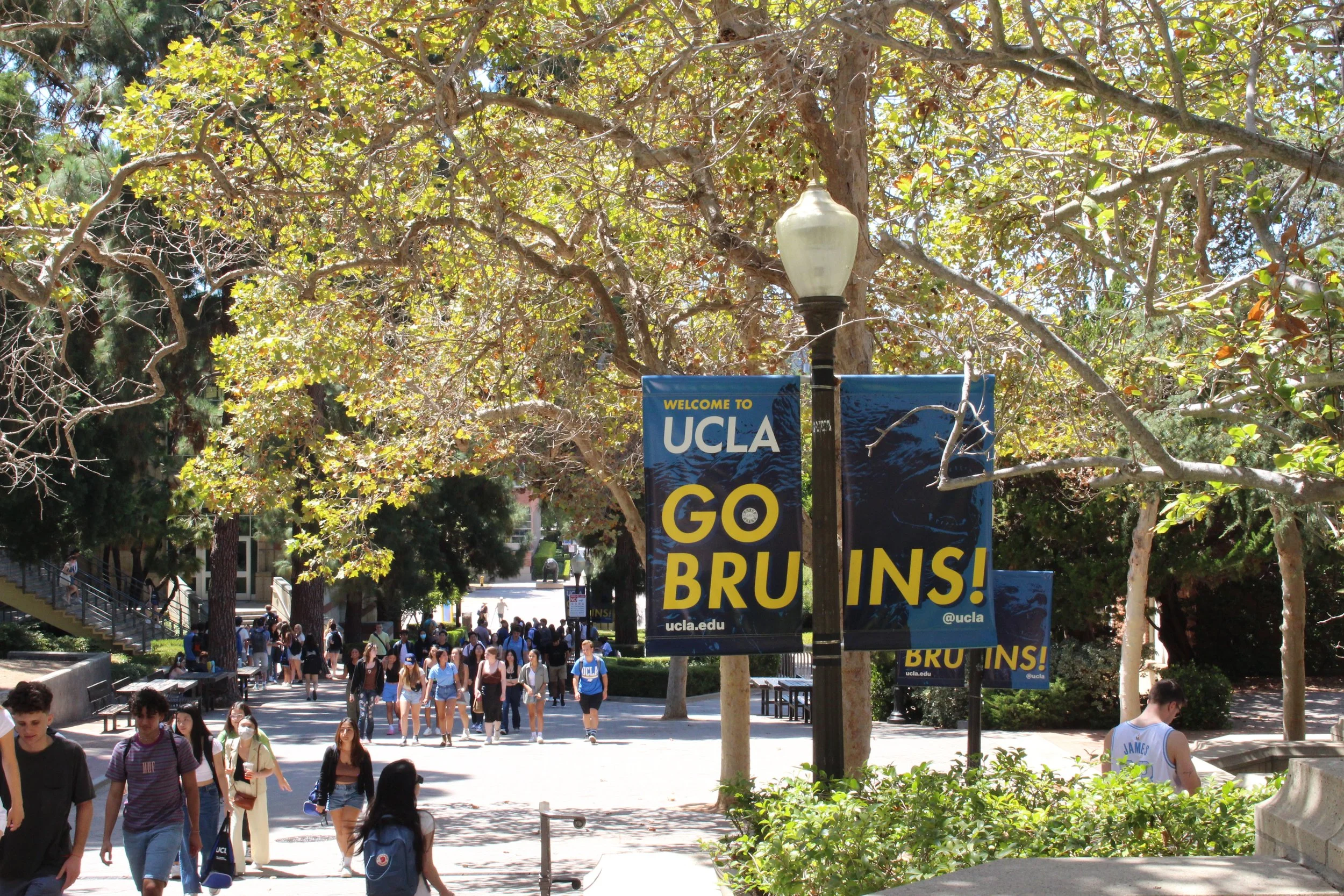 UCLA master’s social work