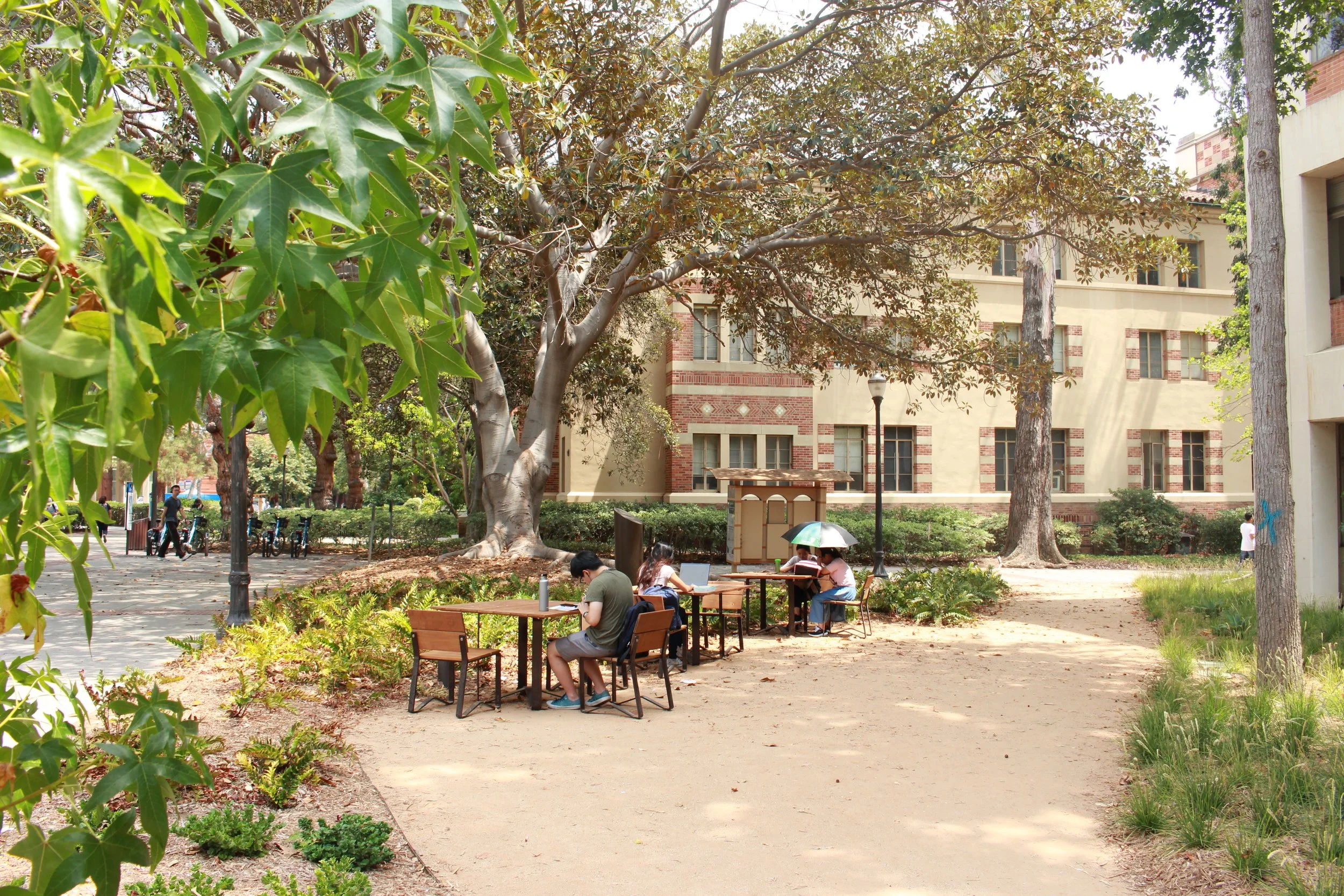 Data science minor UCLA