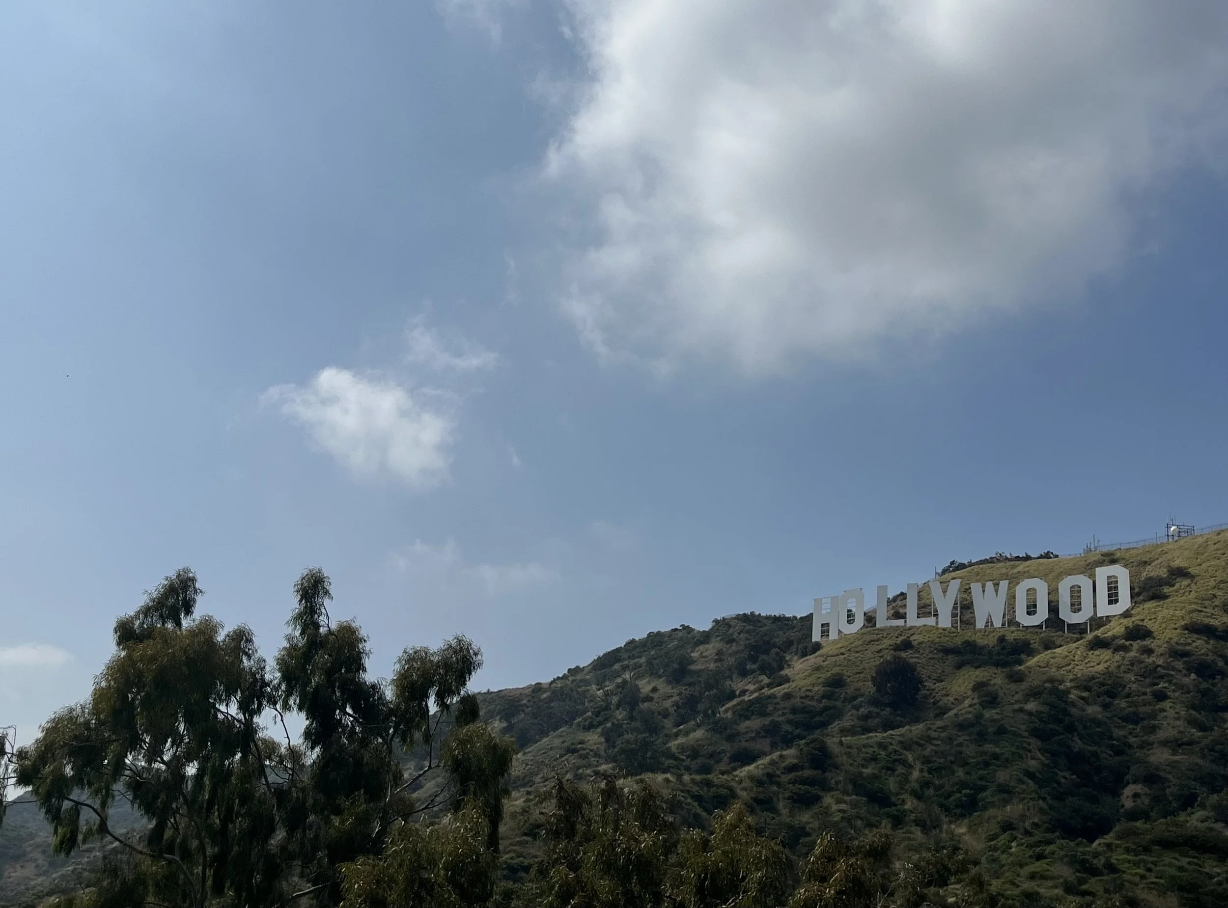 Ultimate UCLA end-of-year bucket list