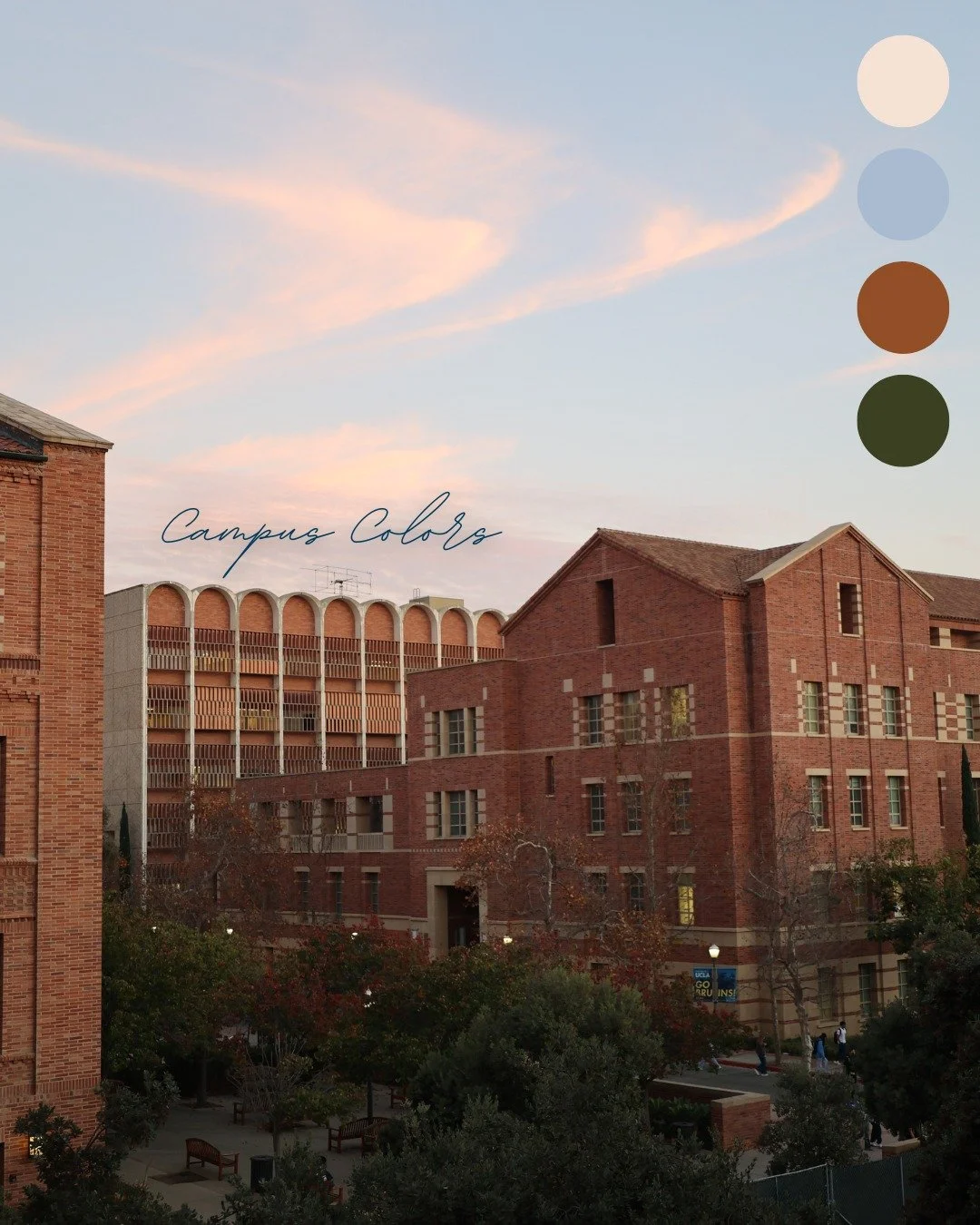 missing these campus views🌸🌿🌞 

#ucla #college #uclacampus #uclabruins #collegelife