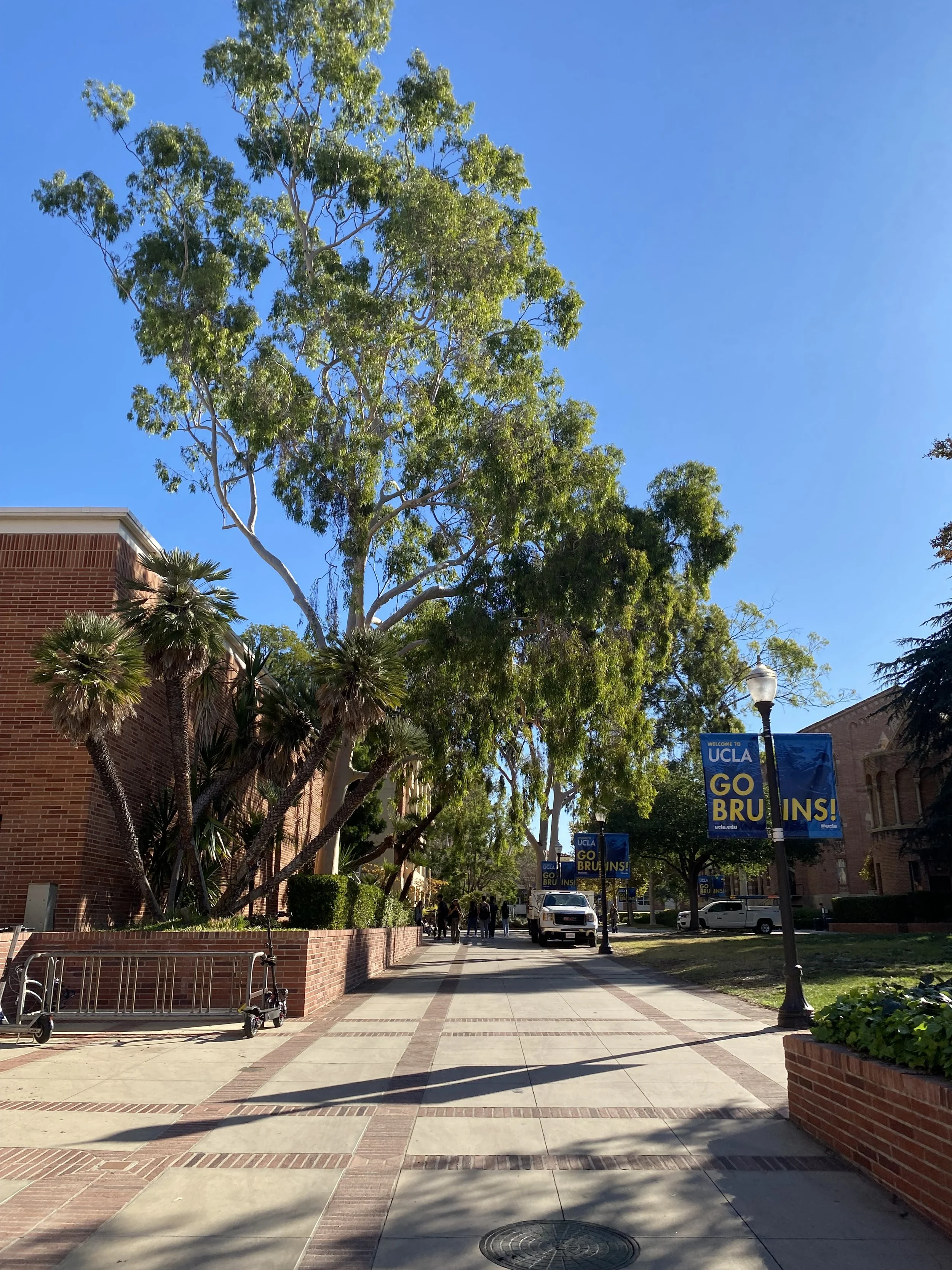 Welcoming Bruins to another school year