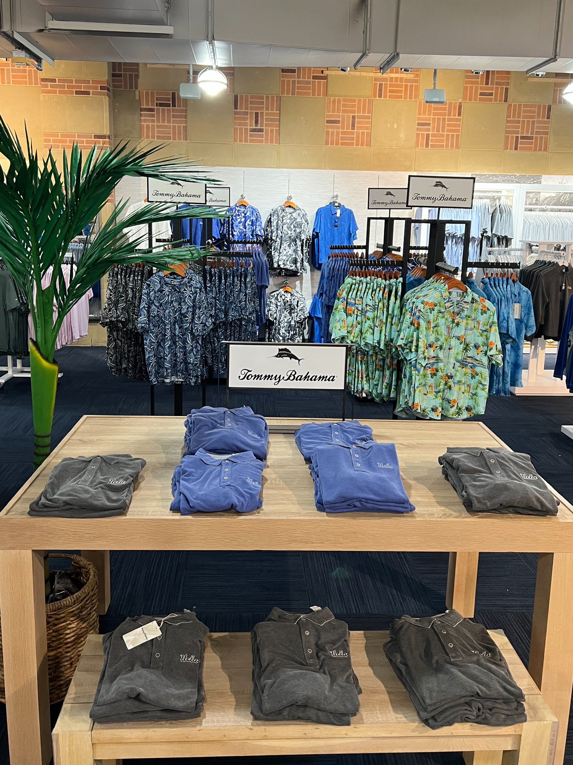 UCLA X Tommy Bahama brings tropical innovation to UCLA Store — ASUCLA