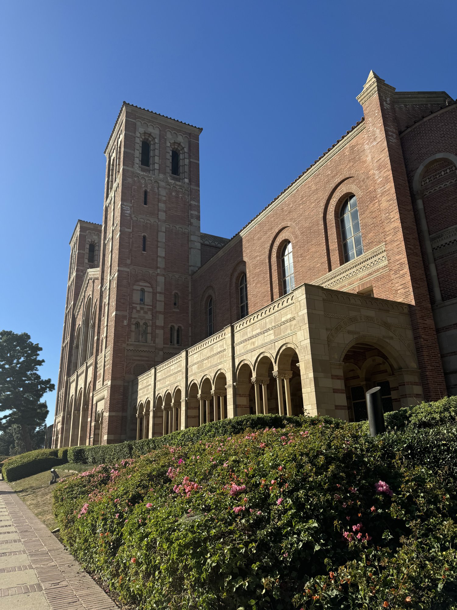 Ucla Acceptance Rate 2023 Transfer Ucla Acceptance Rate 2023 Transfer