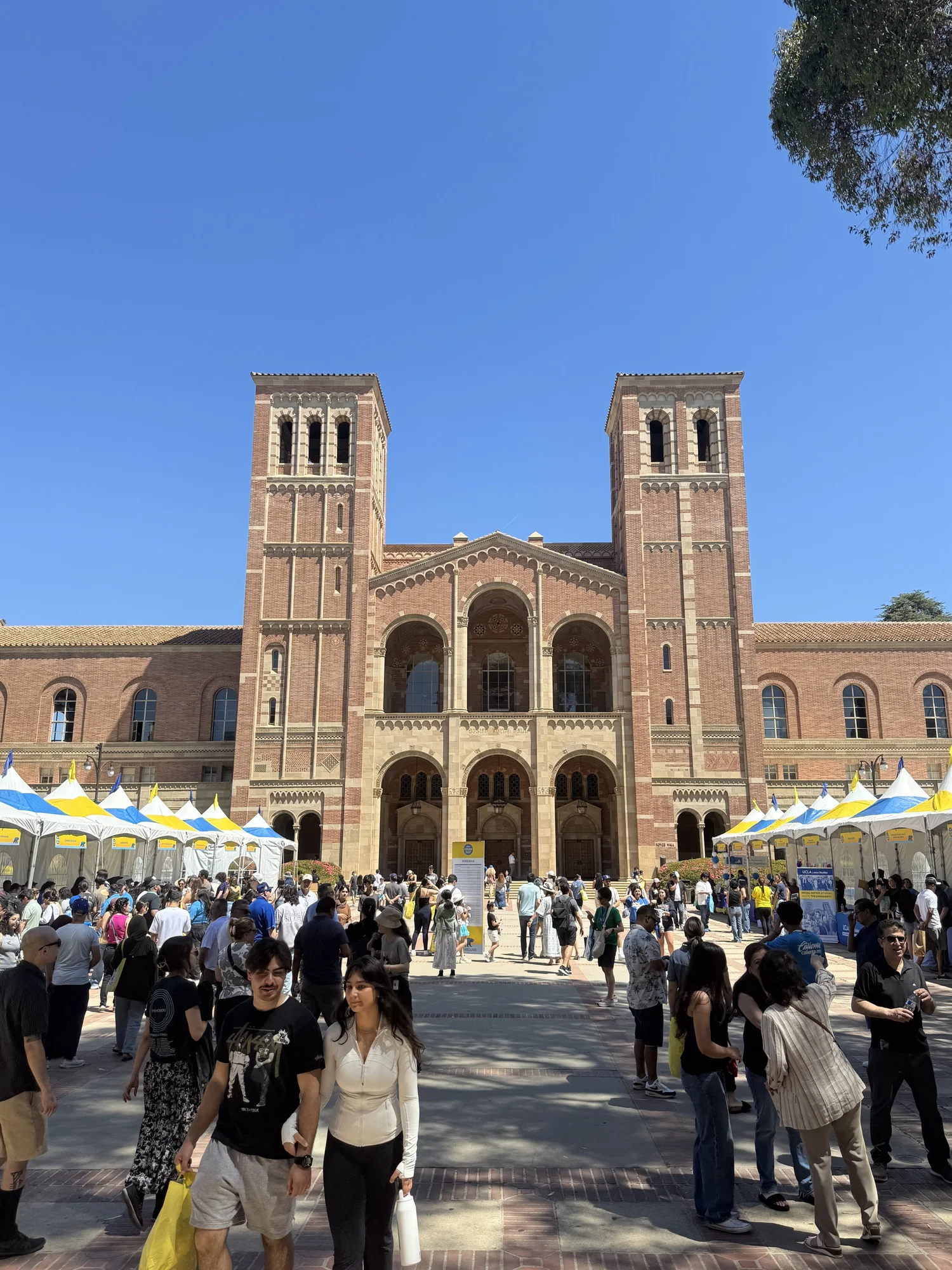Ucla Orientation 2027 Schedule