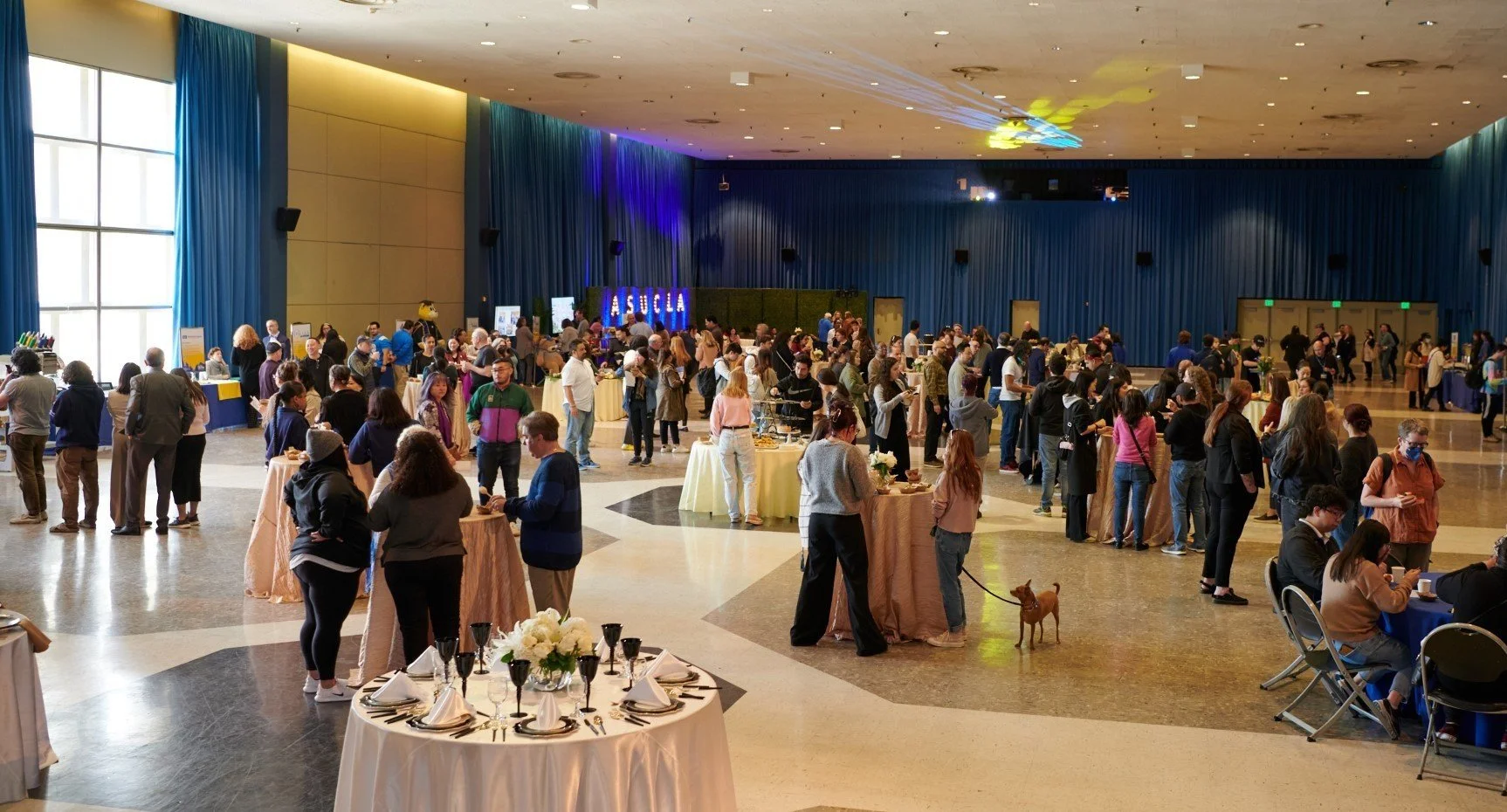 A large gathering with plated food being served to many people in attendance in a ballroom.