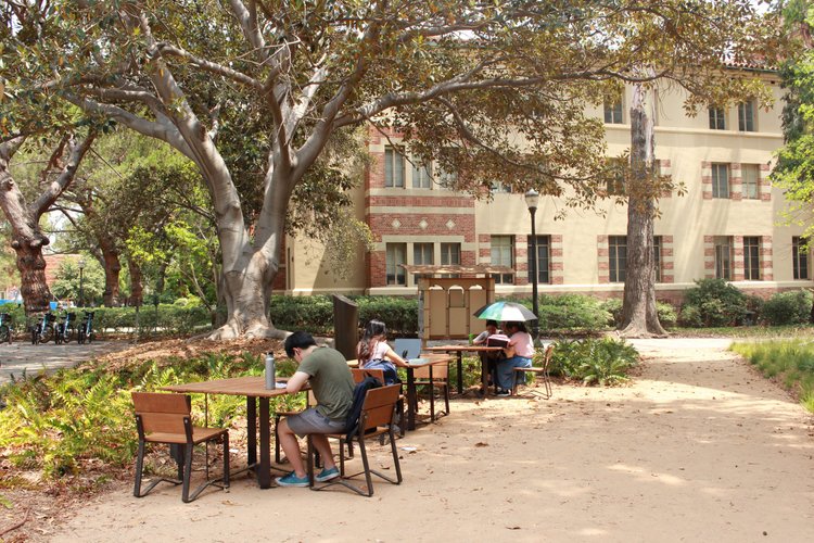 UCLA ADMISSION REQUIREMENTS FOR INDIAN STUDENTS visual data 7