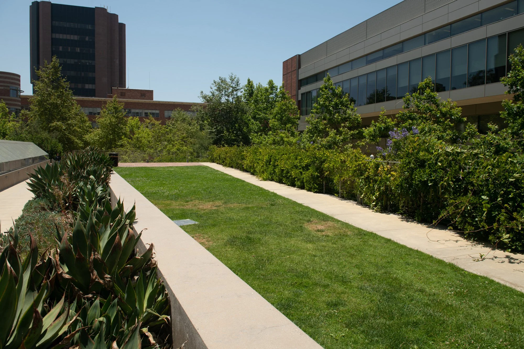 South Campus Student Center 2