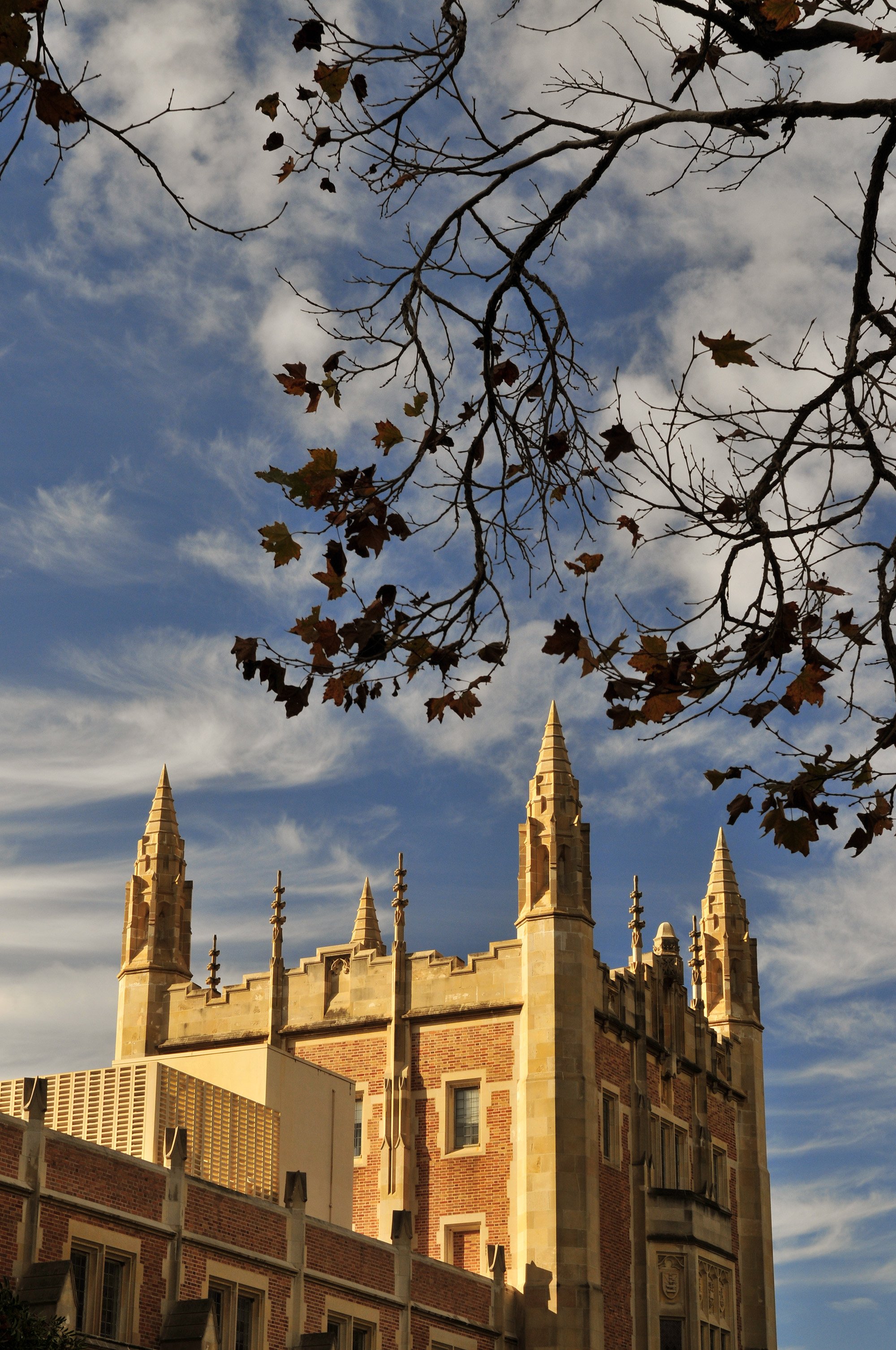 Gothic architecture — ASUCLA