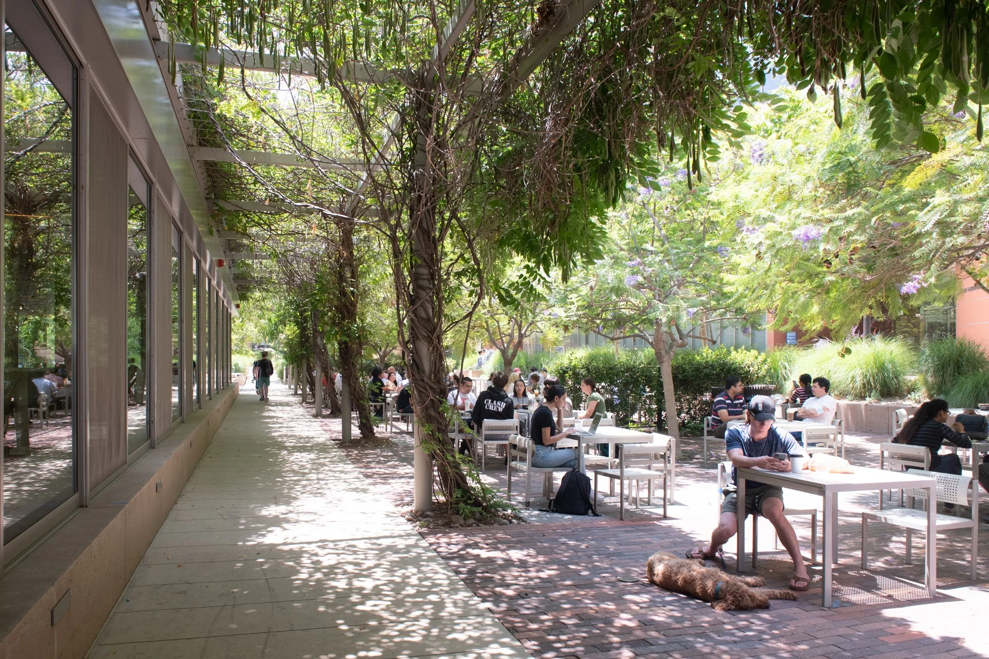 South Campus Student Center 3