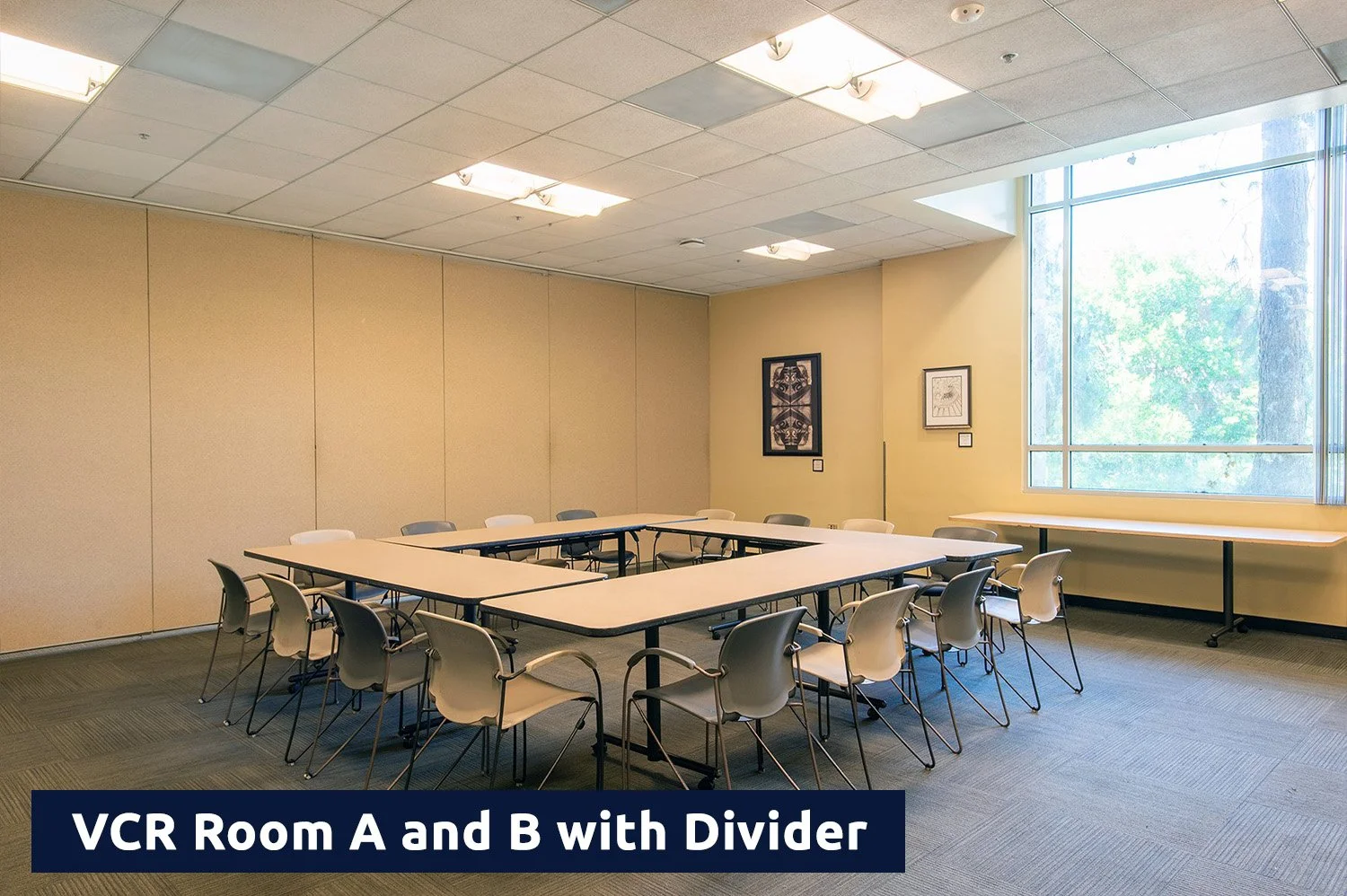 VCR Room A & B with Divider