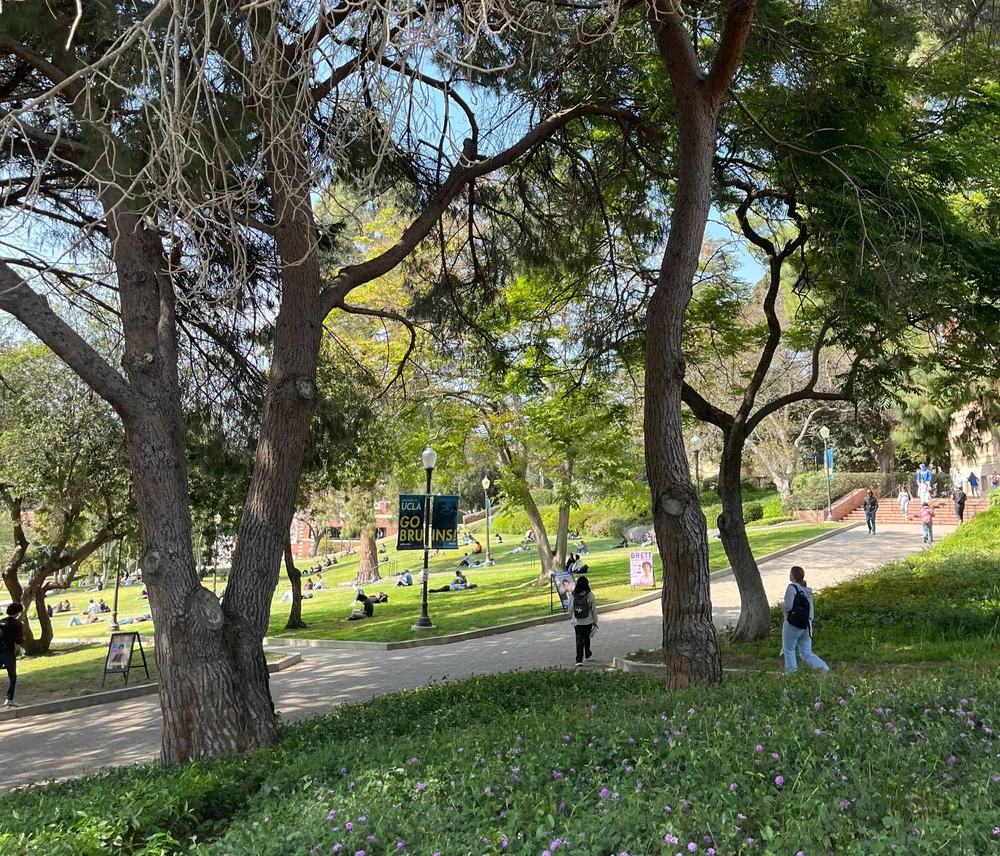 Earn course credit over the summer with UCLA summer sessions — ASUCLA