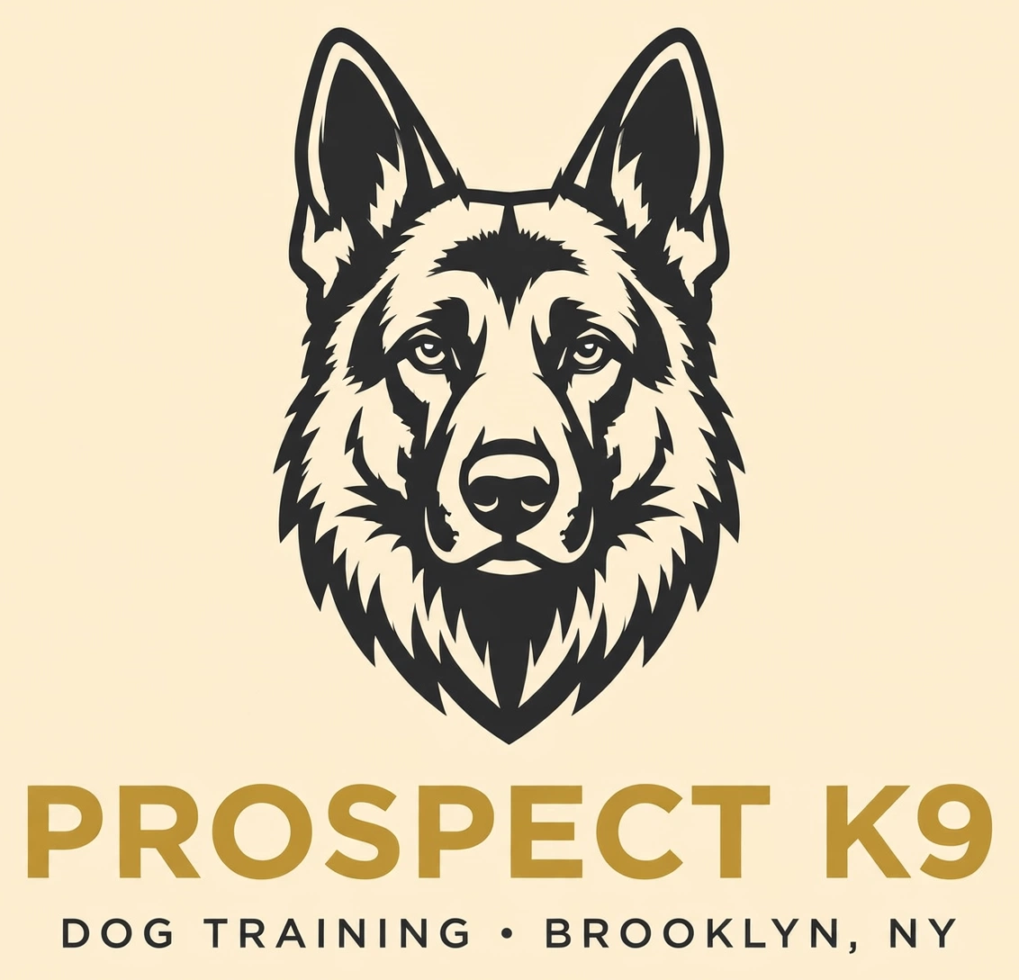 Prospect K9