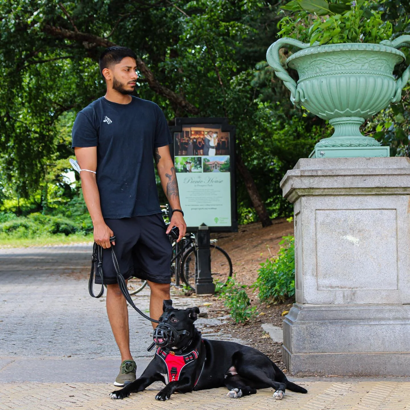 Just met this little guy today 
Gonna be a lot work with Yoshi, but definitely iron out his issue in no time! #dogtraining #grandarmyplaza #dogsofinstagram #labsofinstagram #hermsprenger #nobaddogs #obediencetraining 
-thanks for these dope pics they
