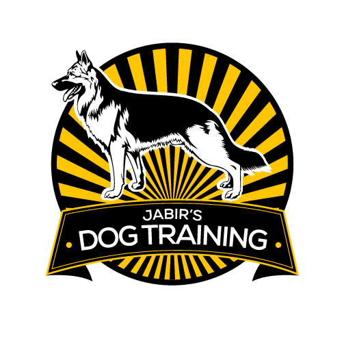 Jabir&#39;s Dog Training | Brooklyn, NY