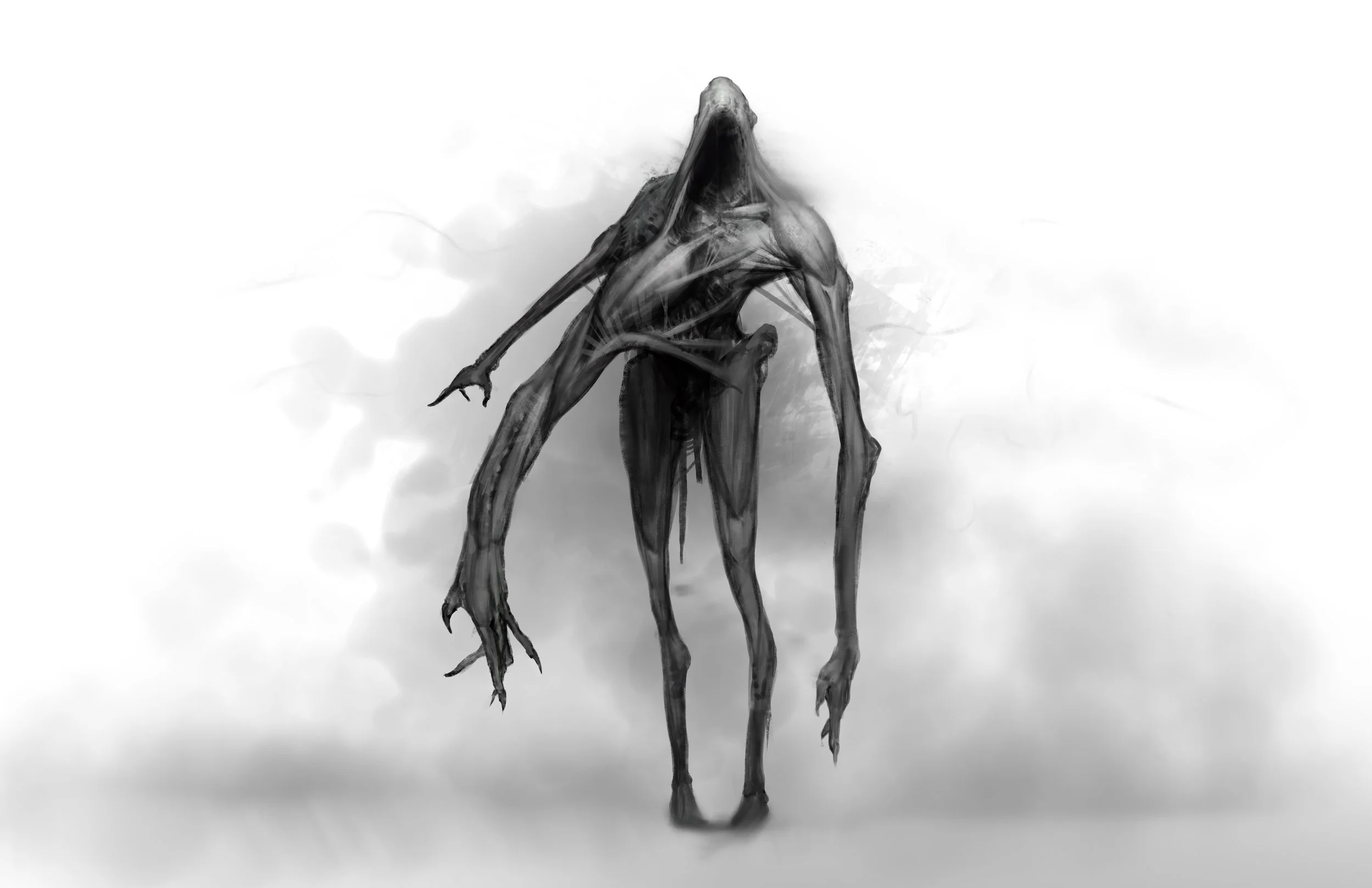 Finals-Beau-Reflector (1).JPG