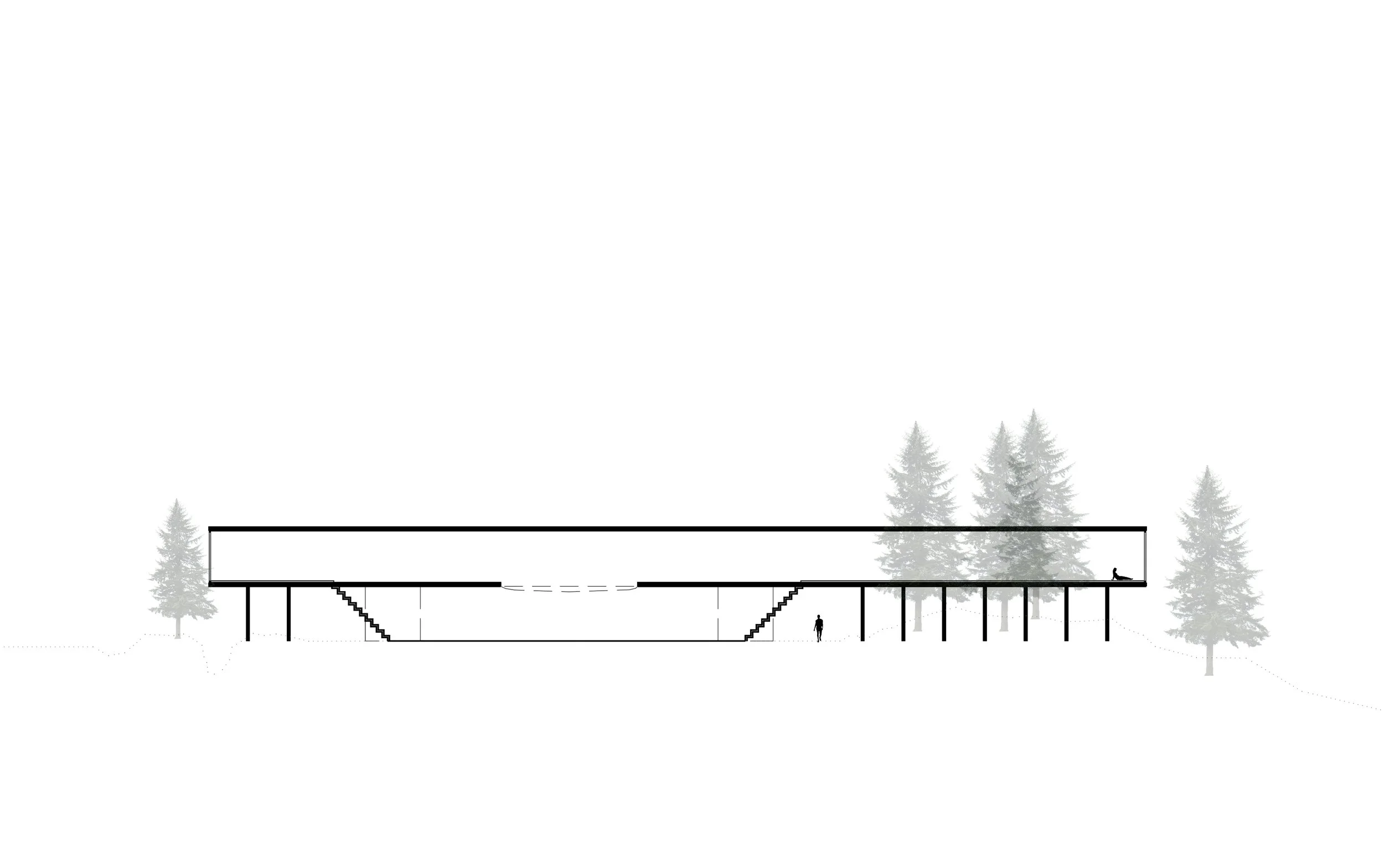 Snitt_Ammerud_1til250_mLinje kopi.jpg