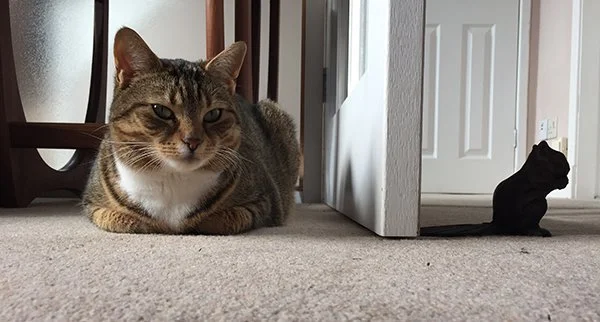 Ziggy with her friend the Squirrel doorstop