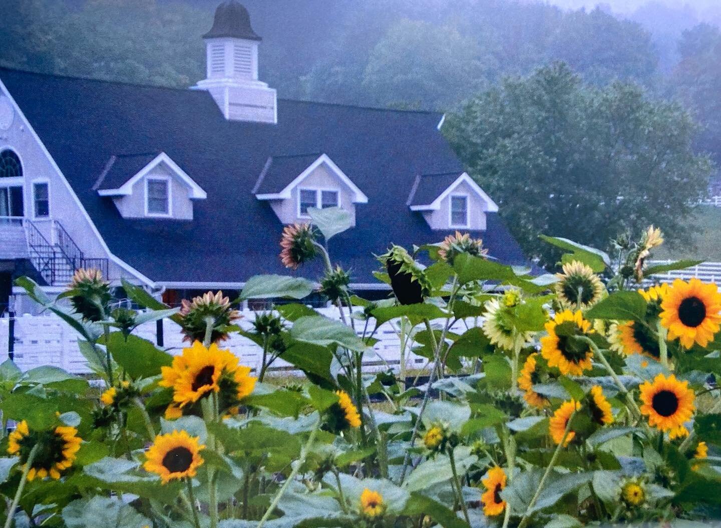 It&rsquo;s August and we realized we haven&rsquo;t shared our calendar photos from the past 🍑4 Months 🍑☺️

🍑 August: Sunflowers Over @ironhorseflowerfarm 📷: @thehomegrownstudio 
🍑 July: Sun over Wilbraham Country Club 📷: @peter_camyre 
🍑 July:
