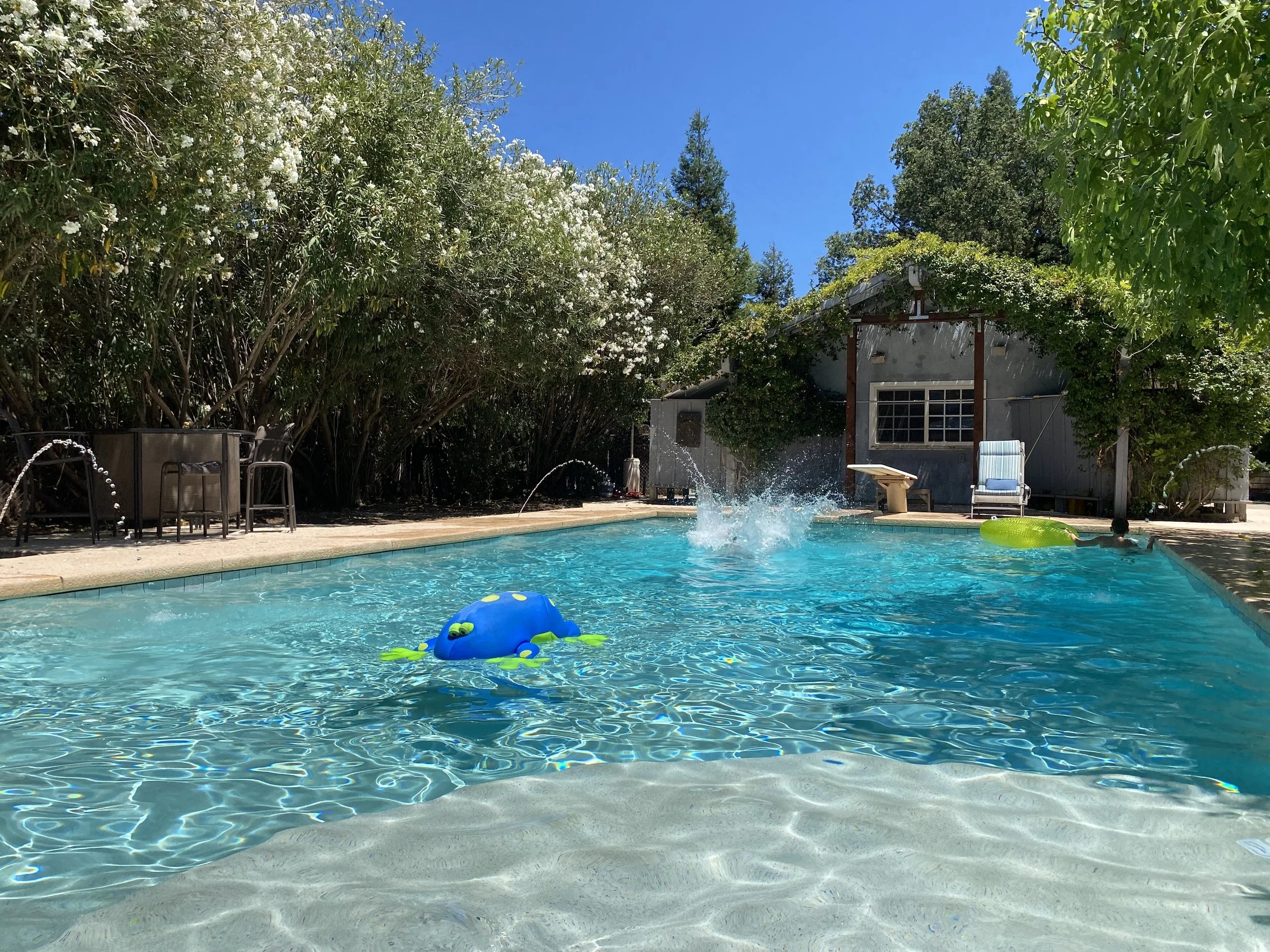 Vista Del Monte Estate — Chico Vista Properties